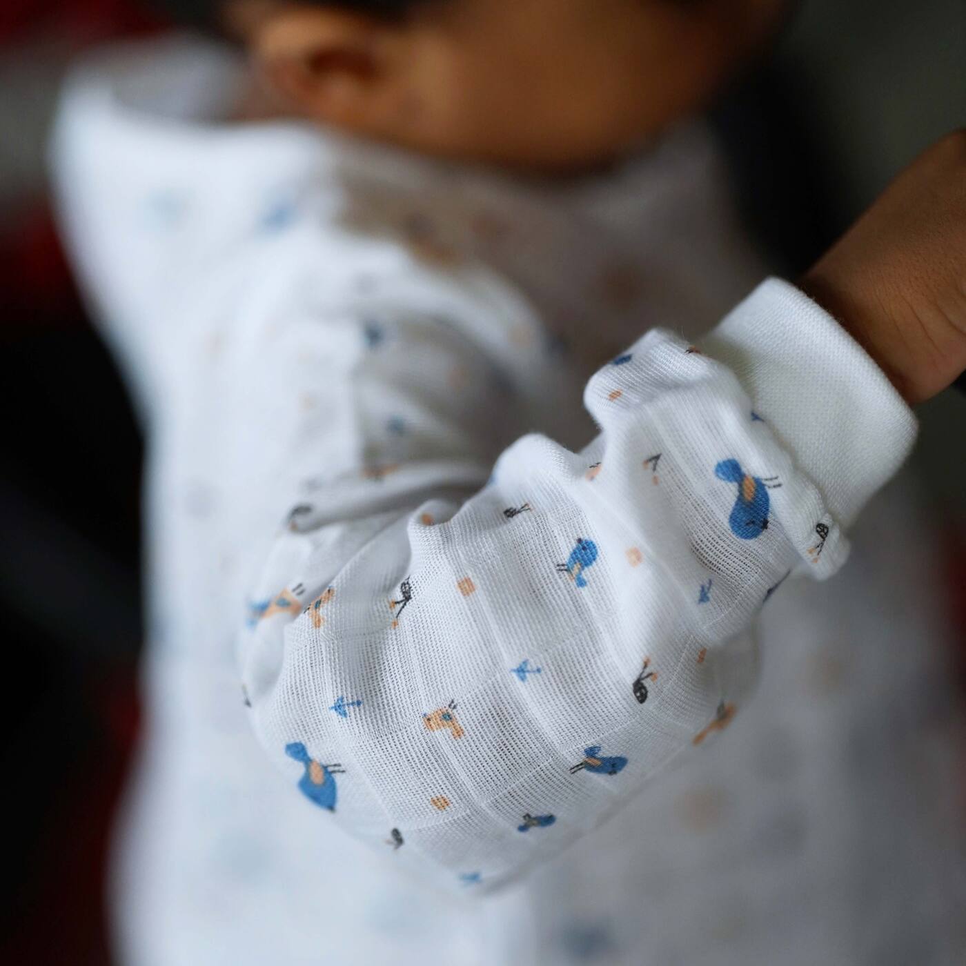 Pretty Little Birds - Unisex full sleeve and pant (0 months - 4years)
