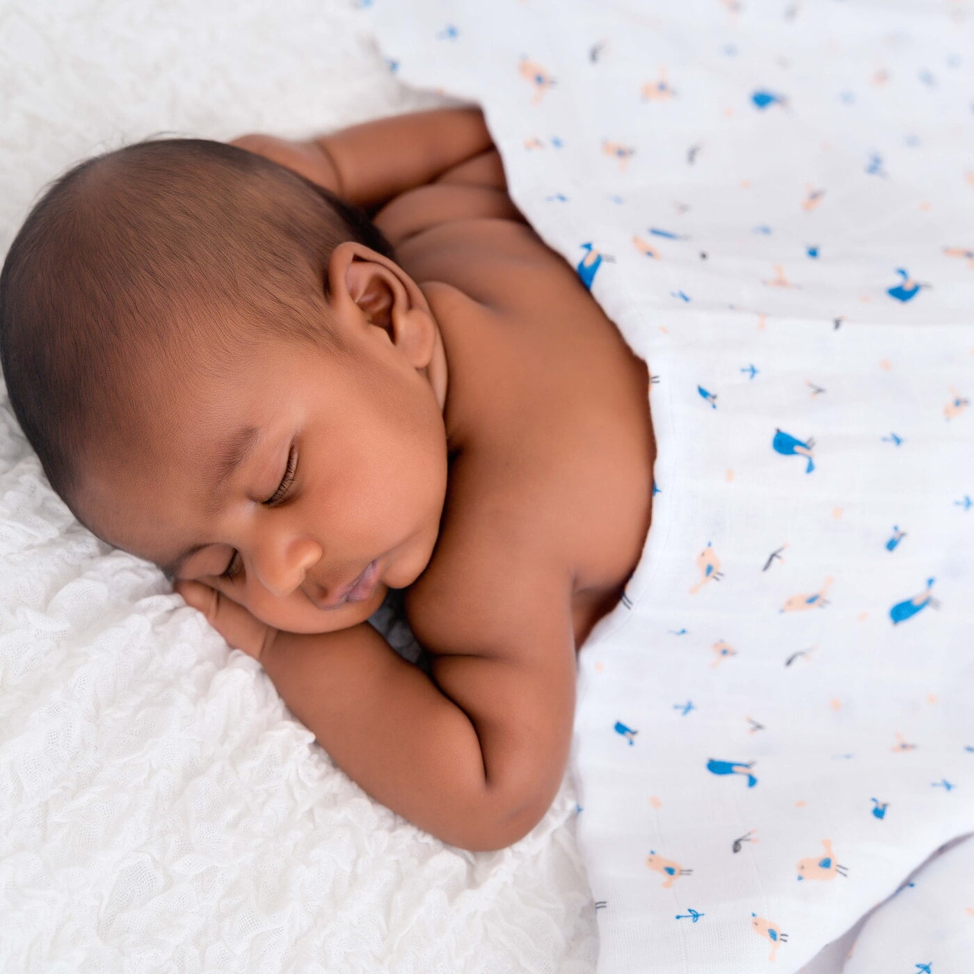 Pretty little birds - Organic Cotton (double layer) Baby Muslin Swaddle Set - 110 X 110 cms