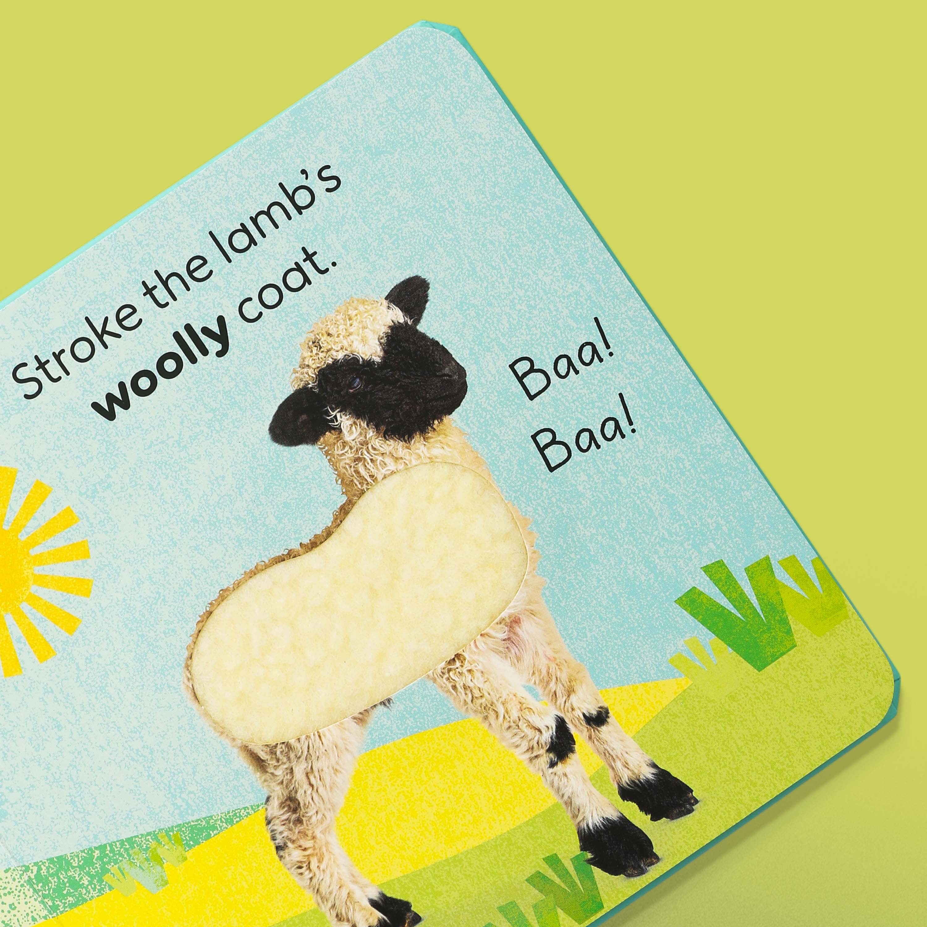 Touch and Feel Farm Book - Interactive Tactile Learning