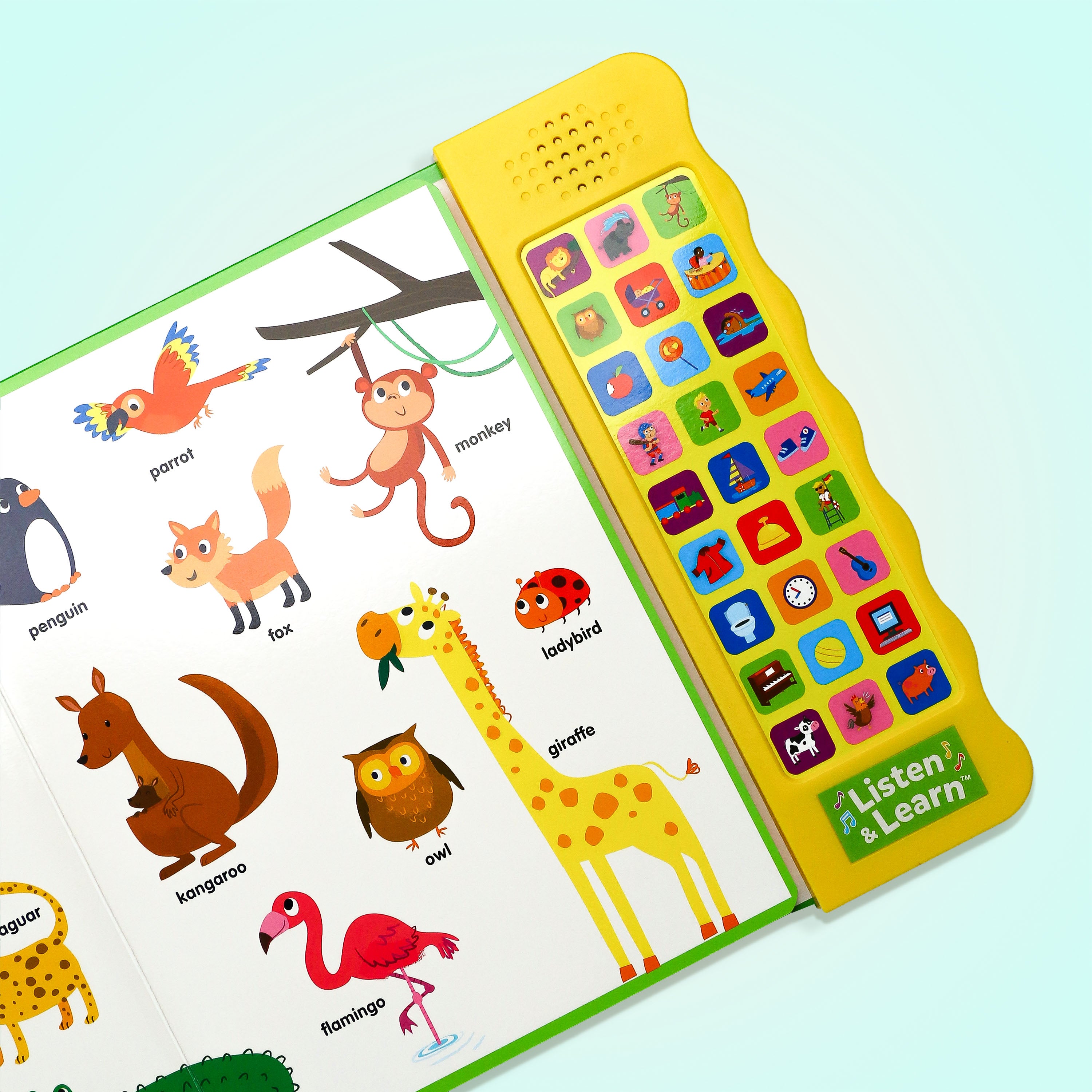 Let's Learn First Words Book