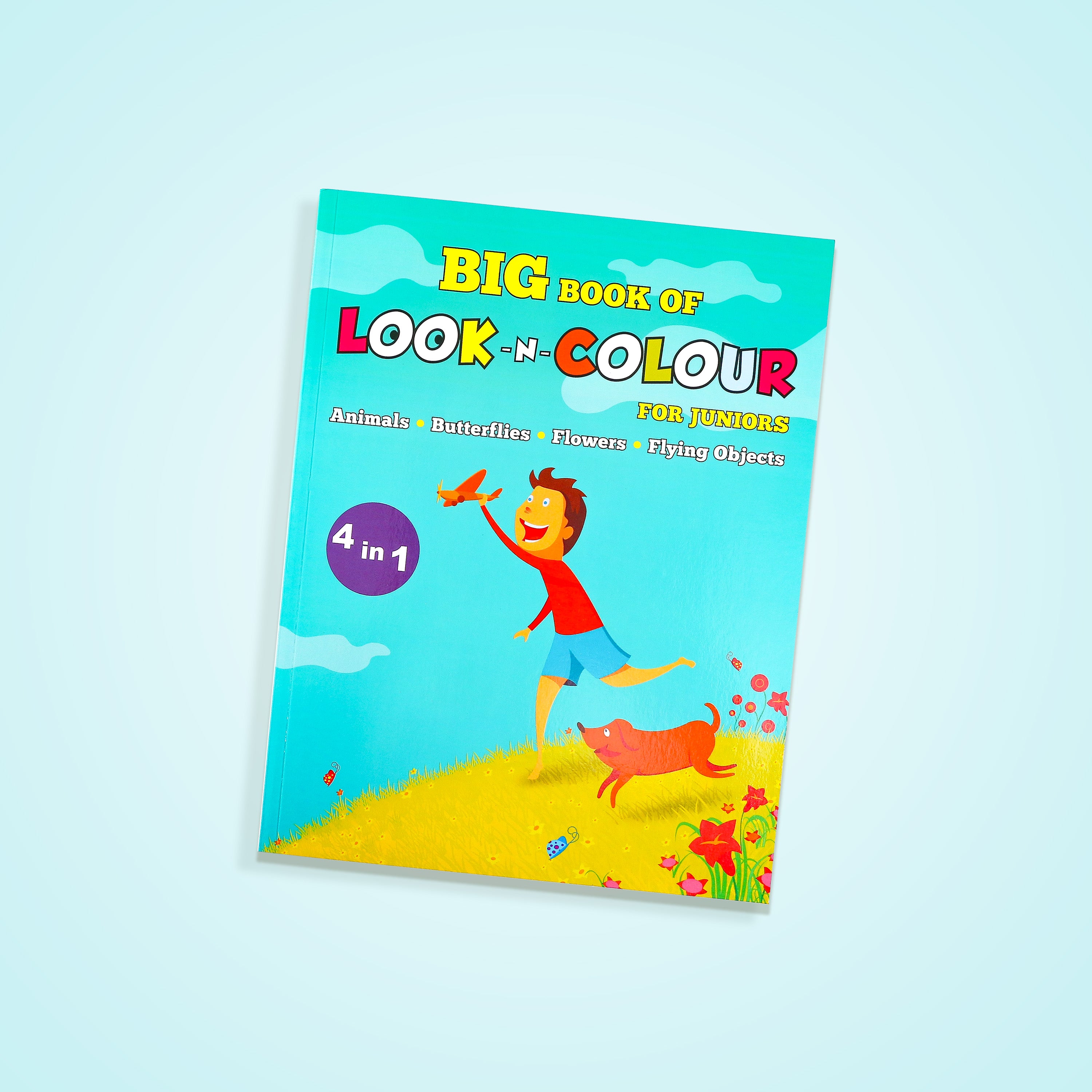 Big Book of Look-N-Colour