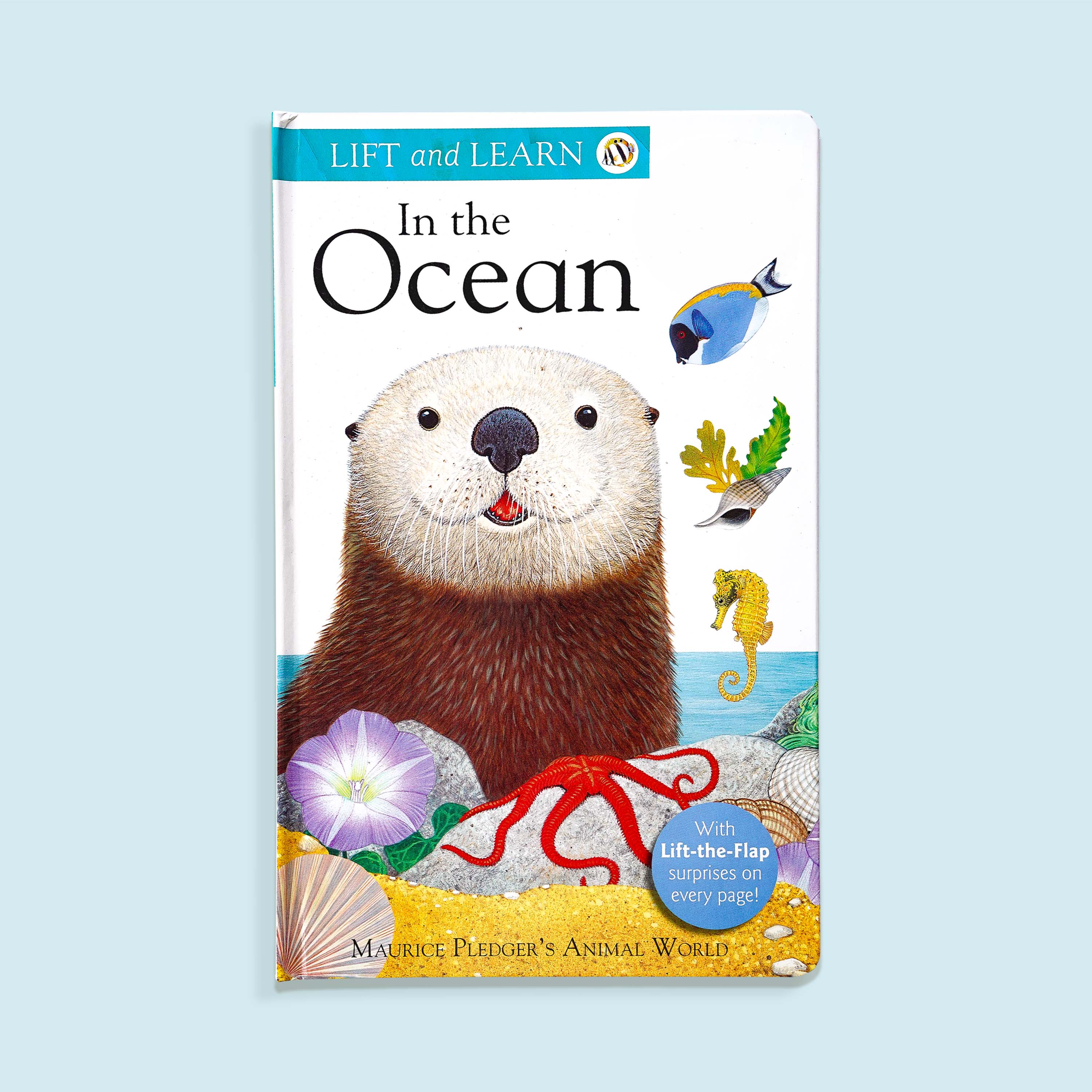 Lift and Learn In the Ocean Book