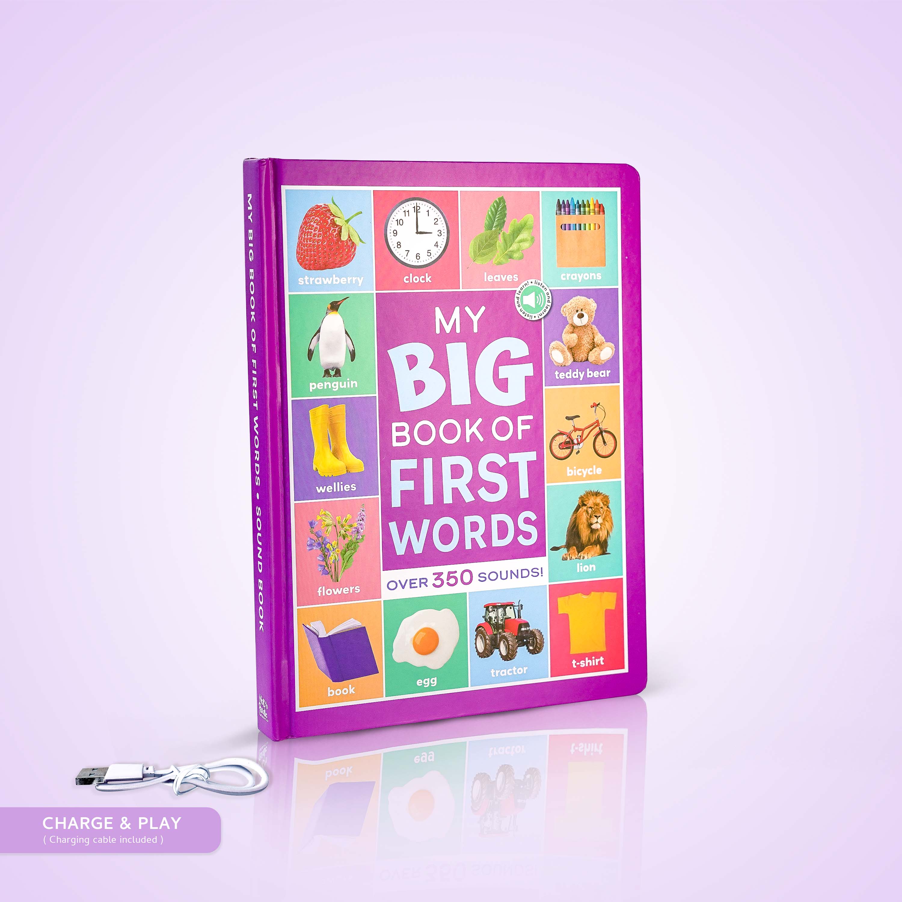 My Big Book of First Words