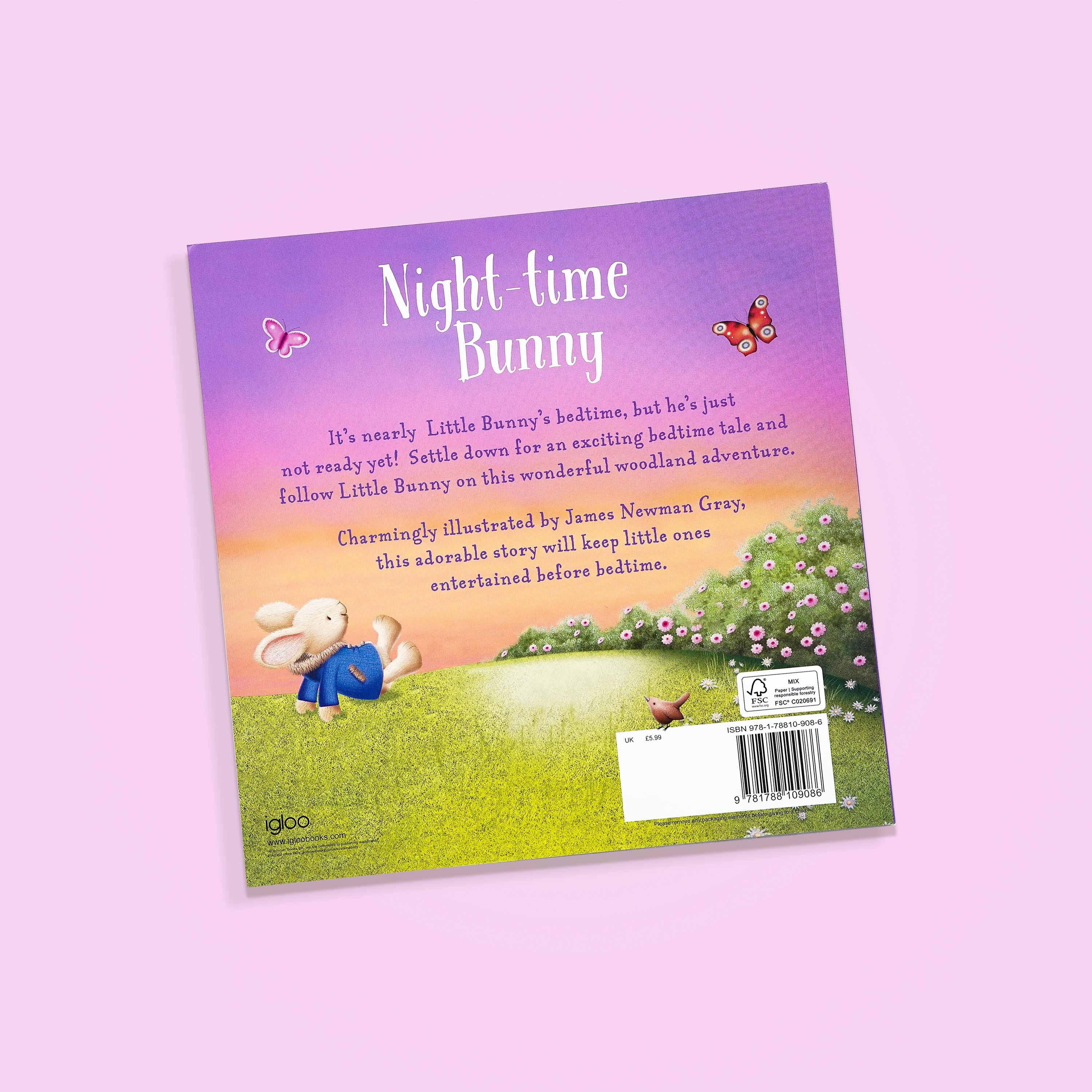 Night-Time Bunny