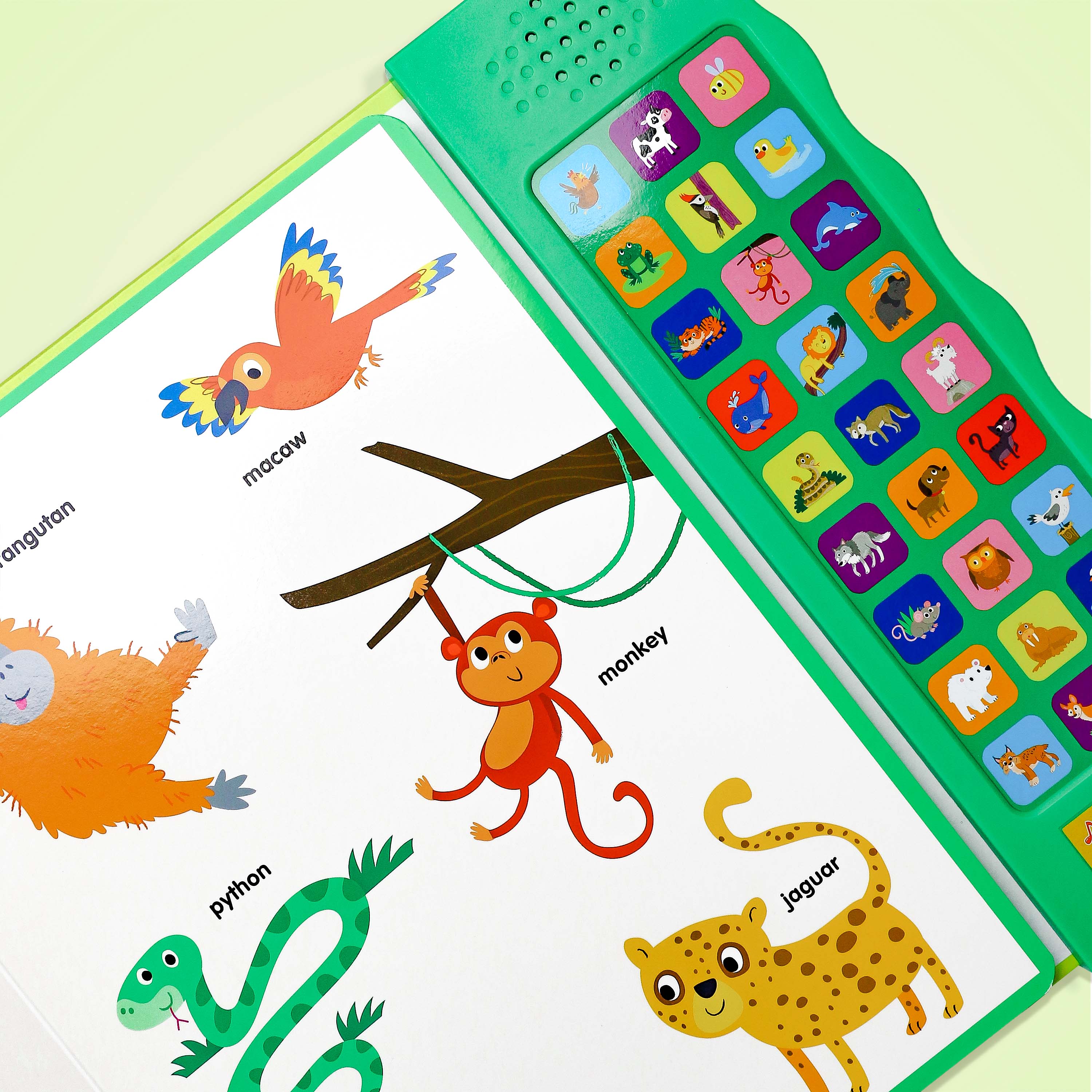 Let's Learn Animals Book