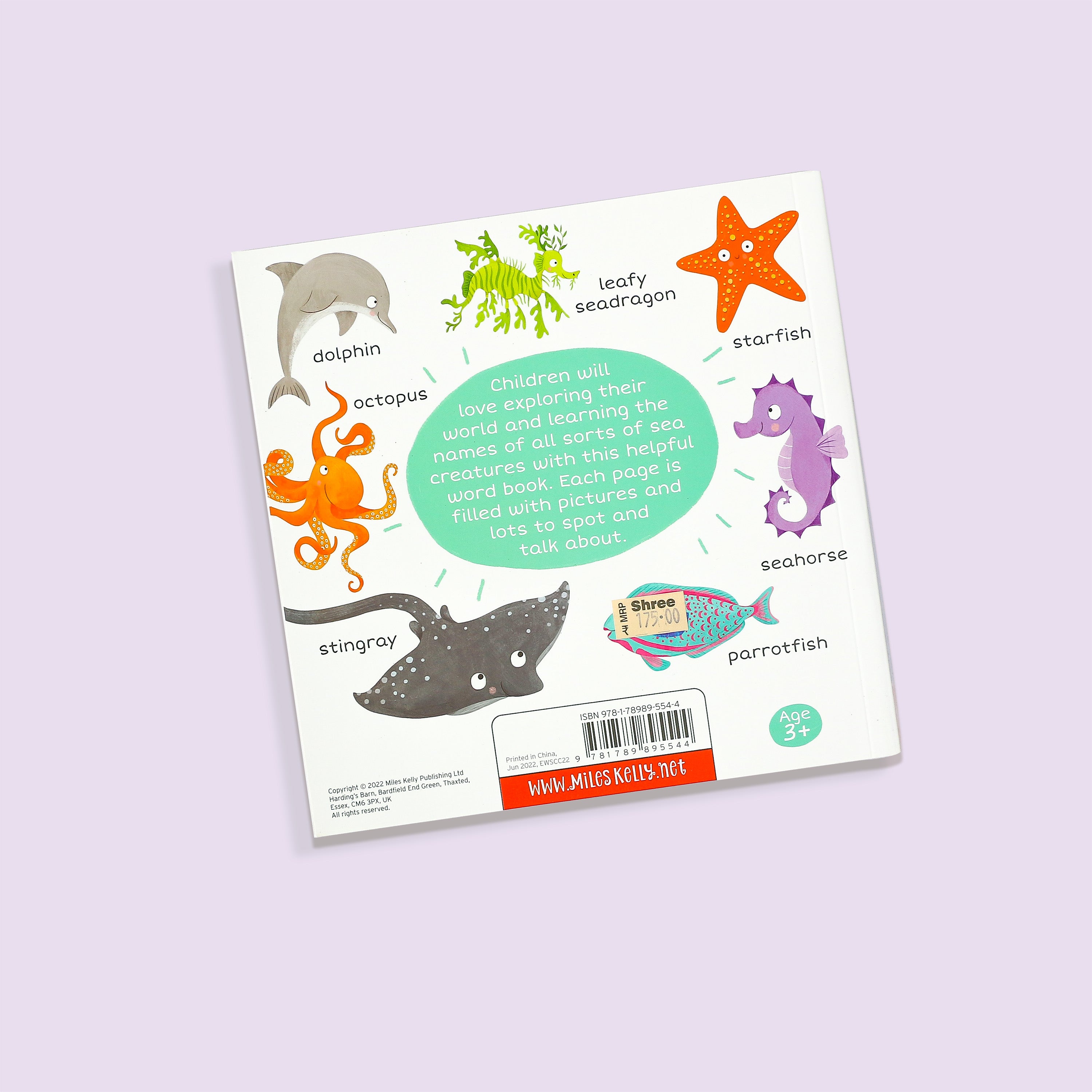 100+ First Words In the Sea Book