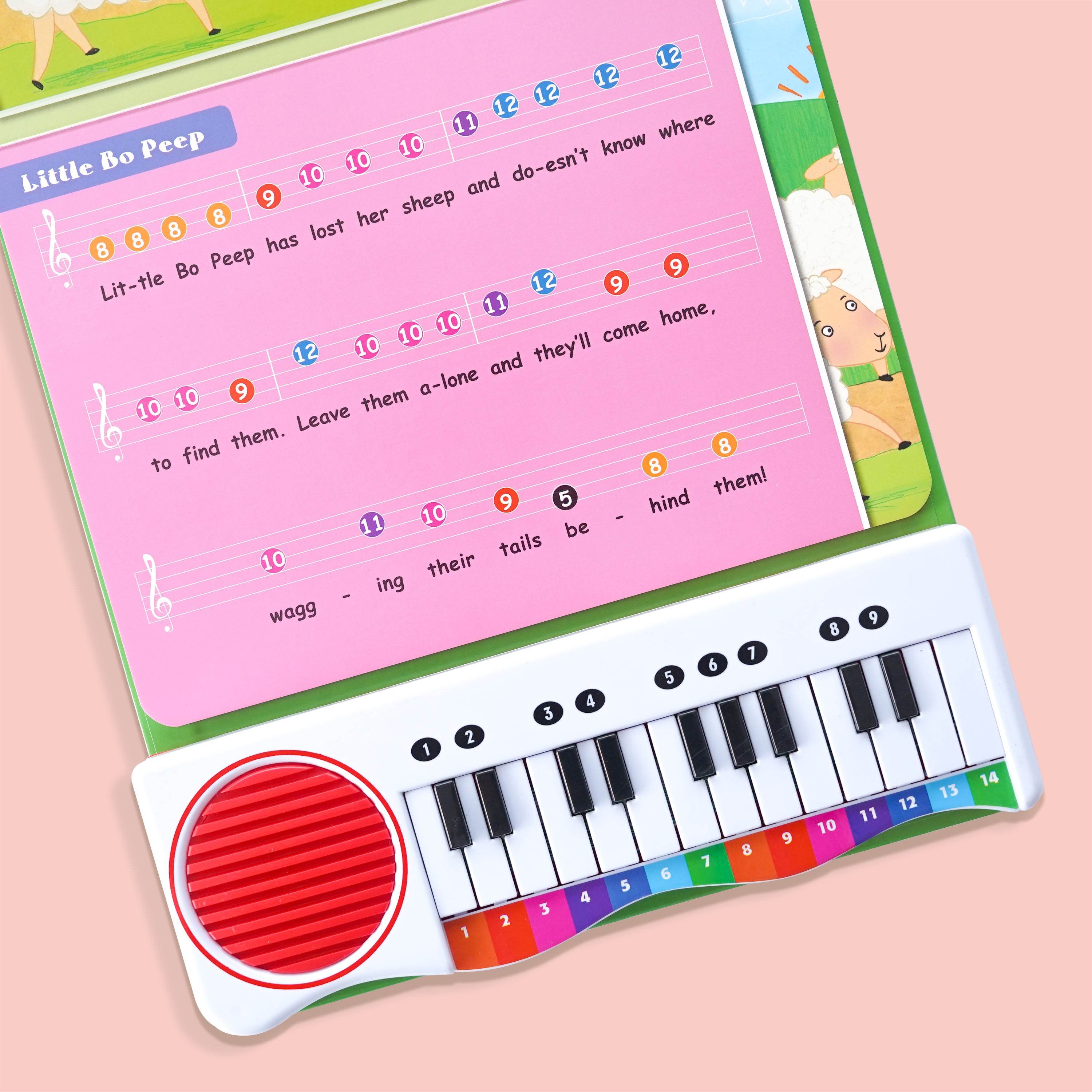 Old MacDonald & Other Play Along Songs Book