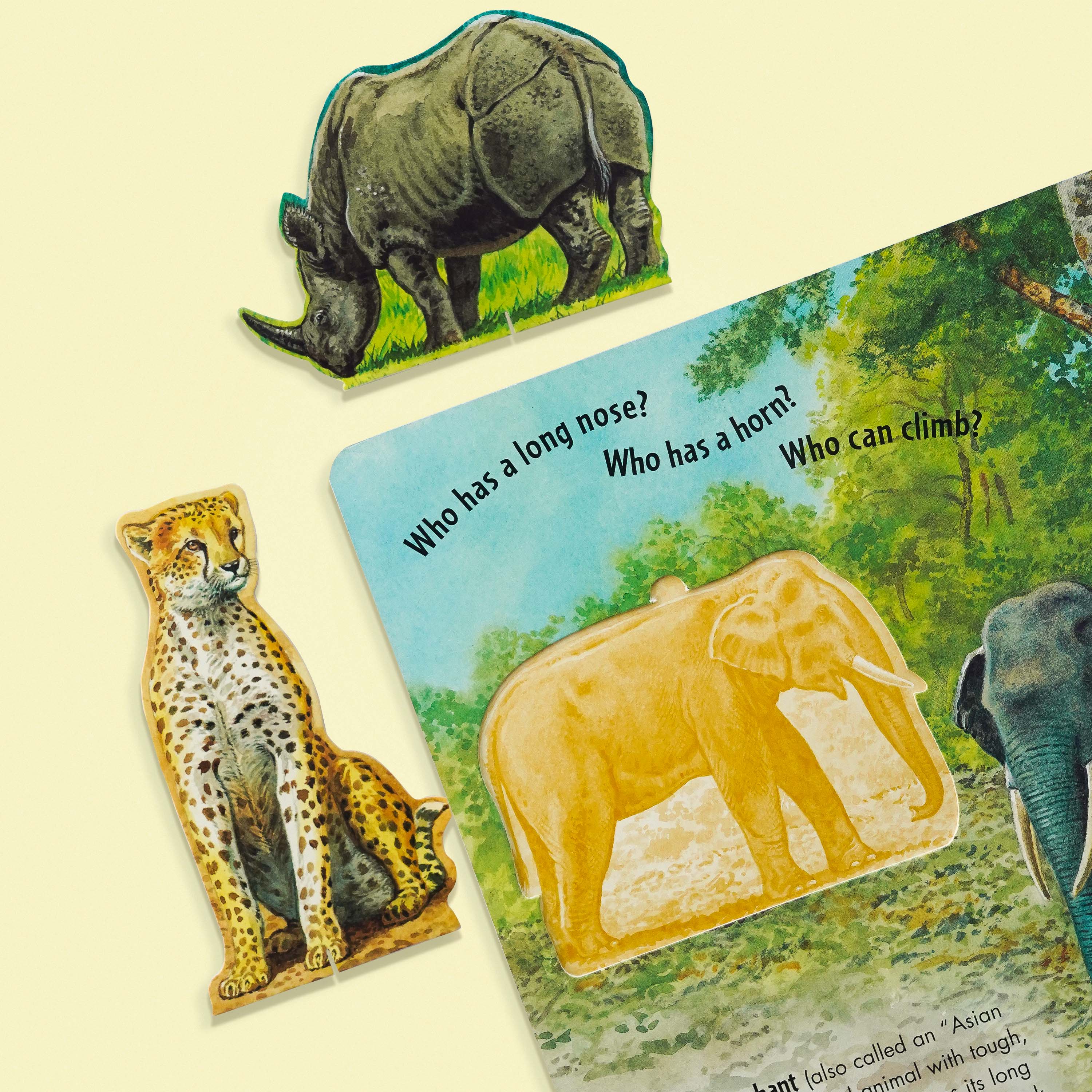 Safari Adventure Book
