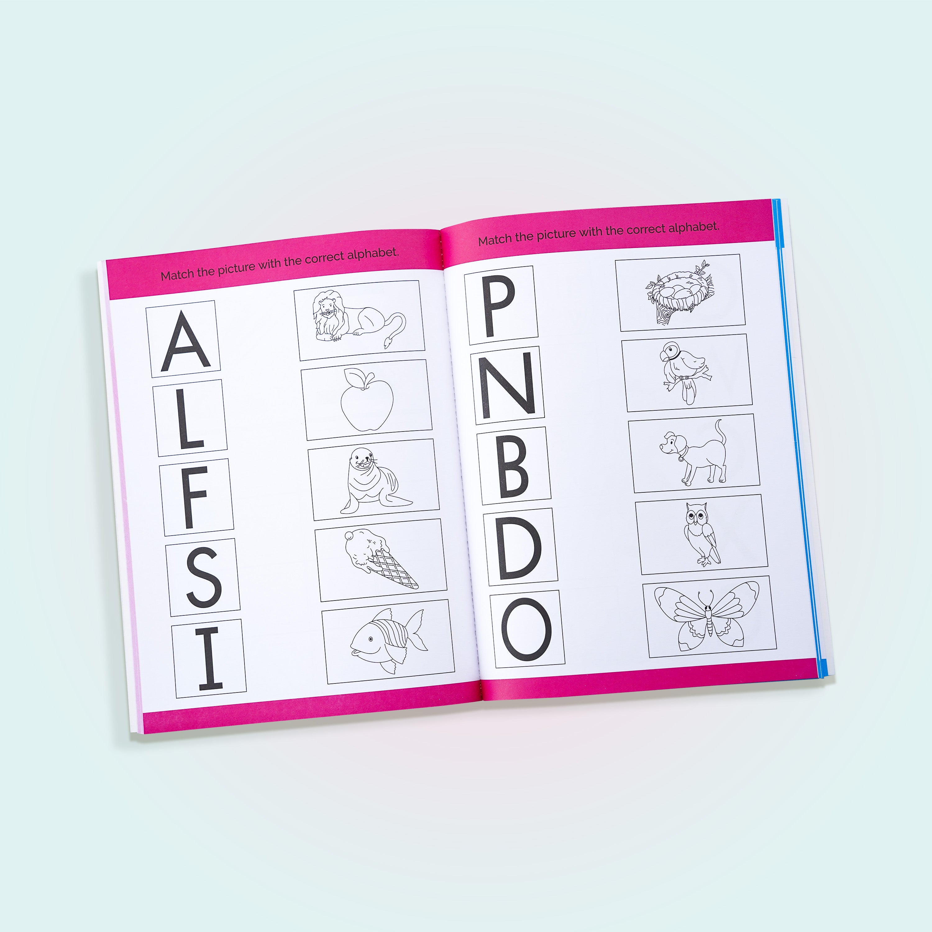 My First Workbook Alphabet and Number (2in1)