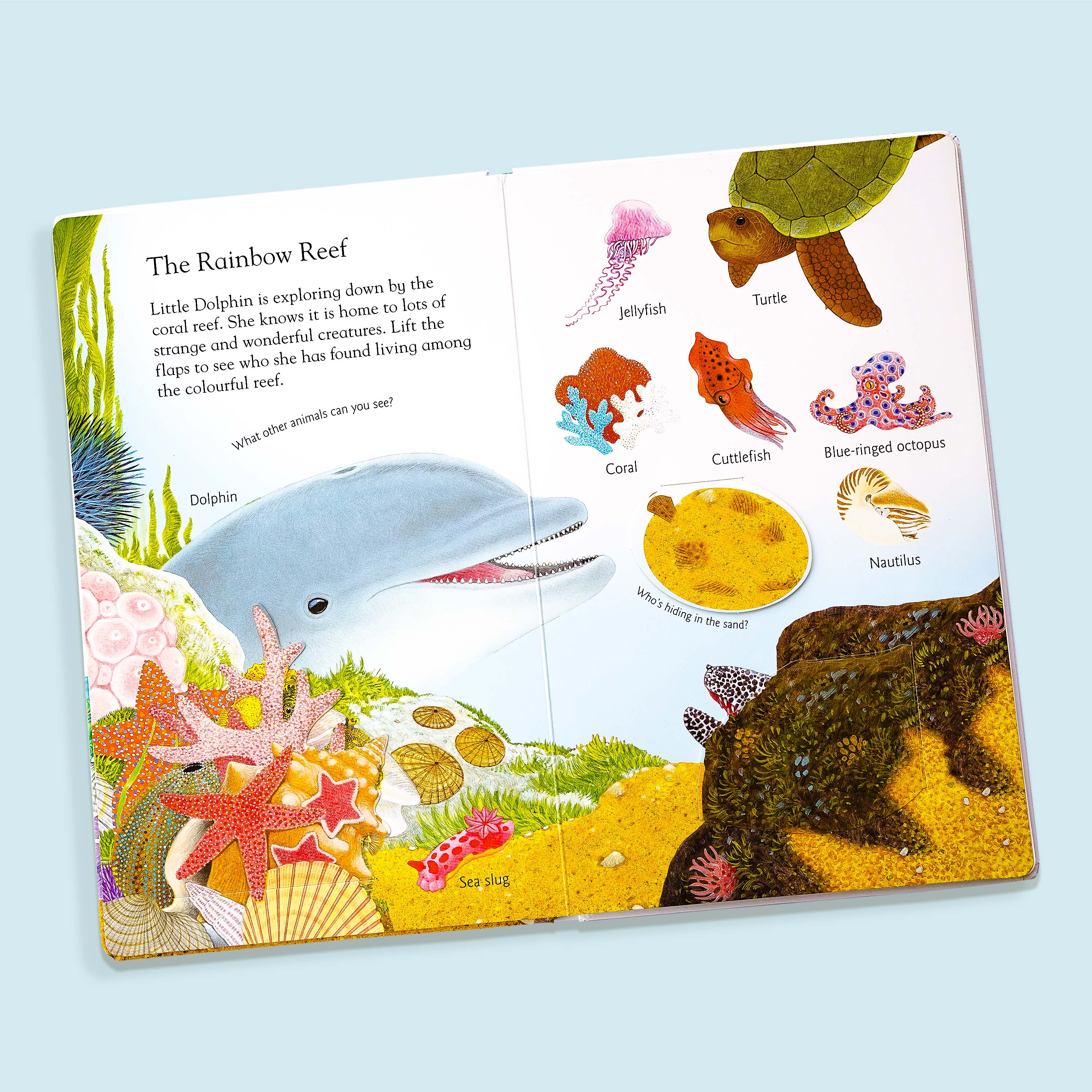 Lift and Learn In the Ocean Book