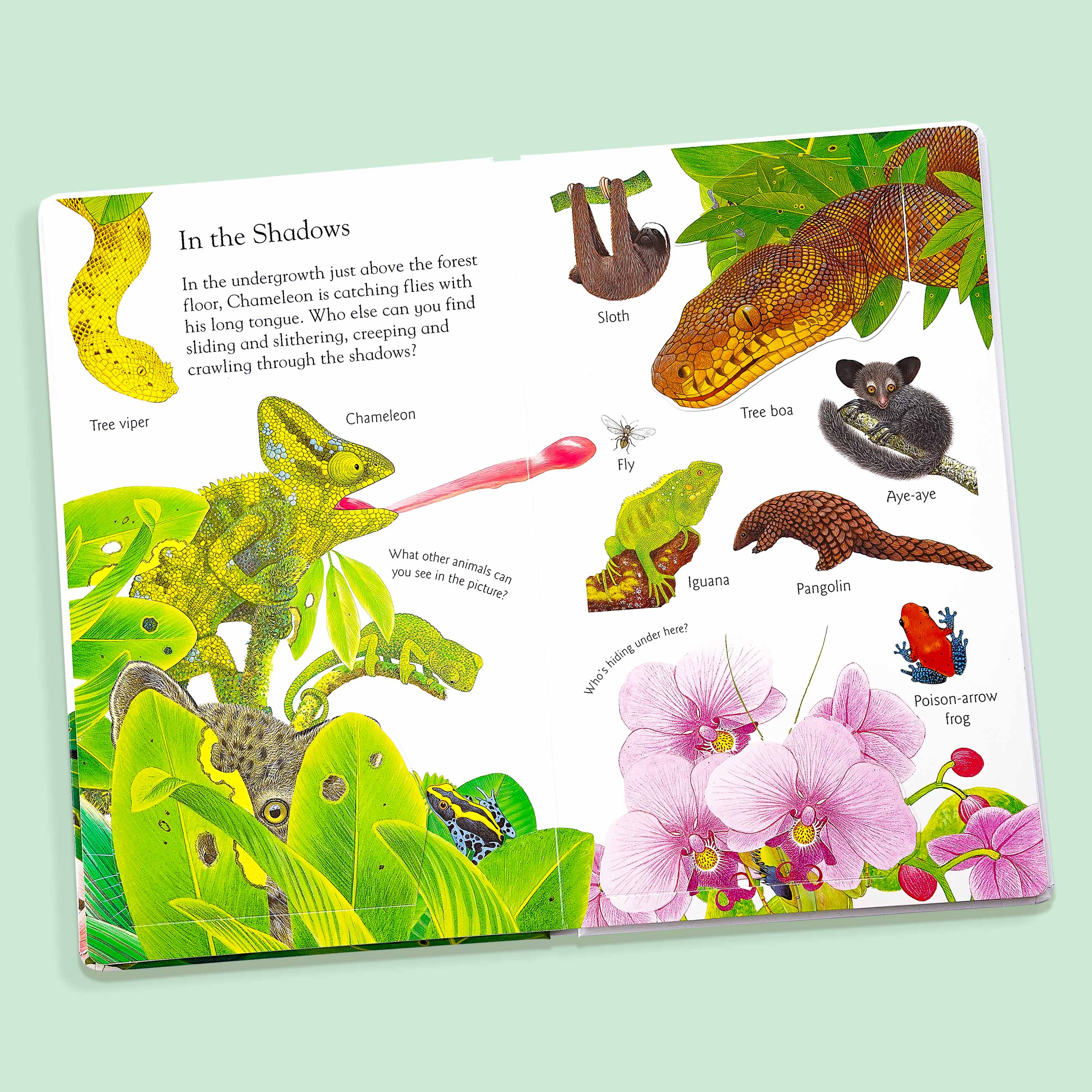 Lift and Learn In the Jungle Book