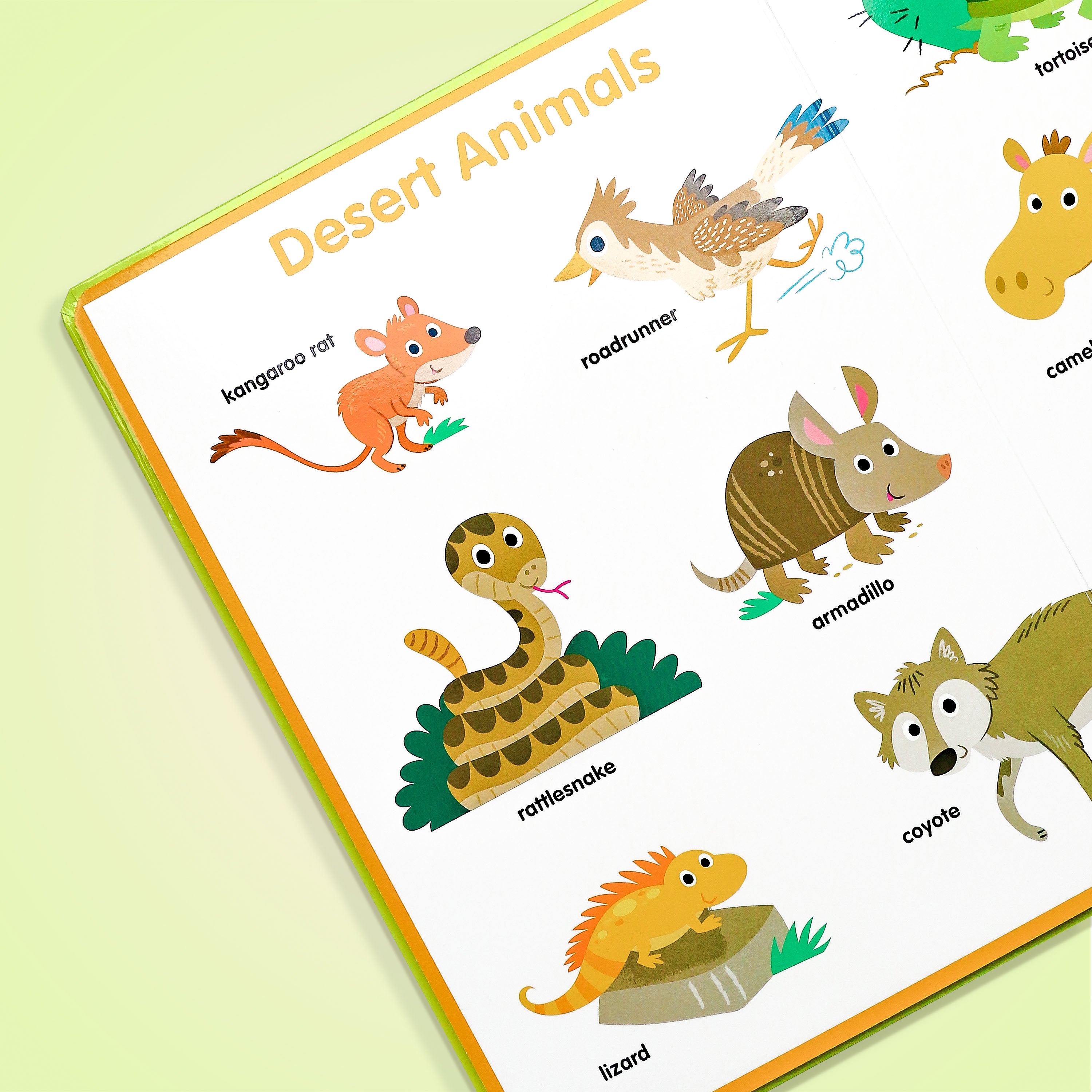 Let's Learn Animals Book