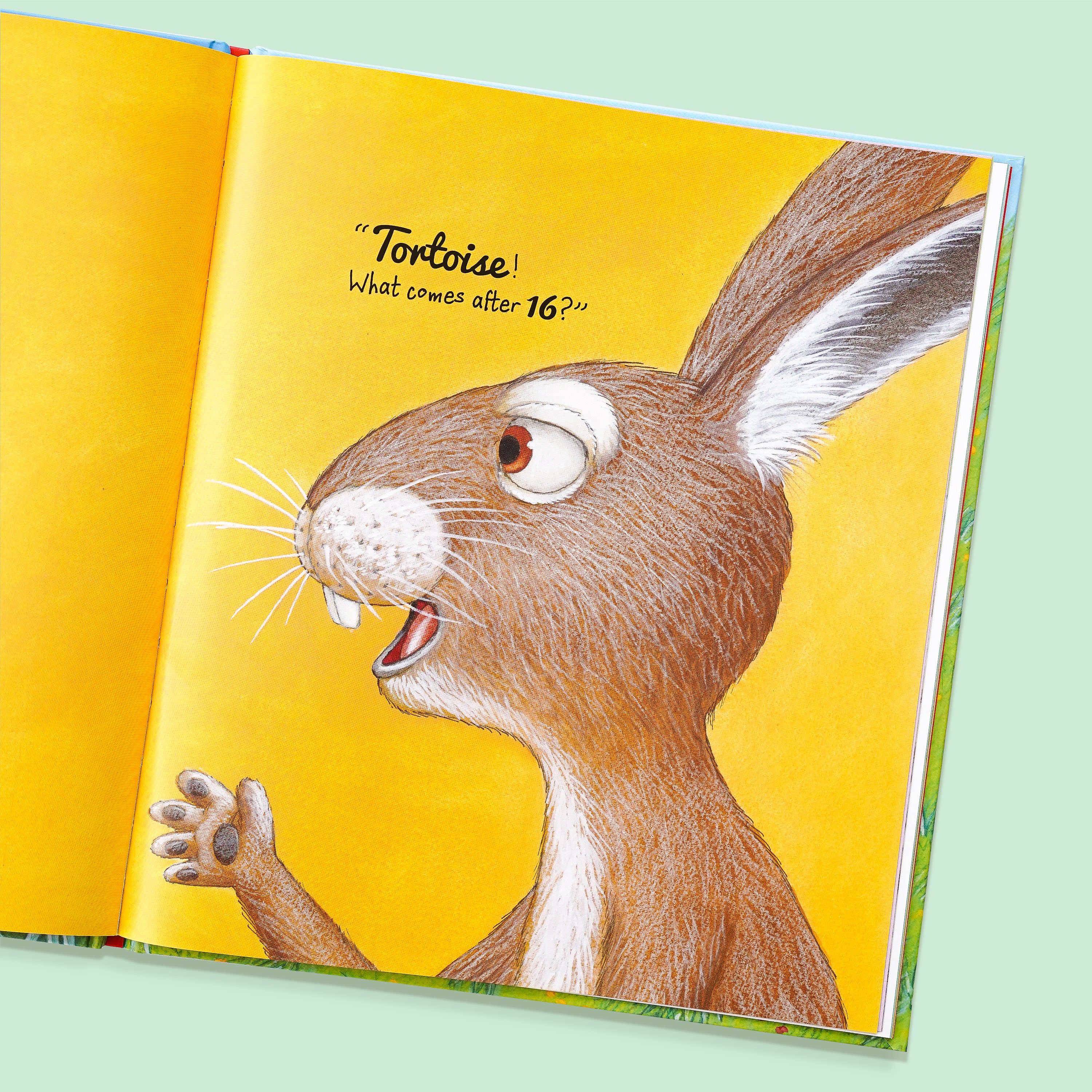 The Great Tortoise & Hare Counting Race Book