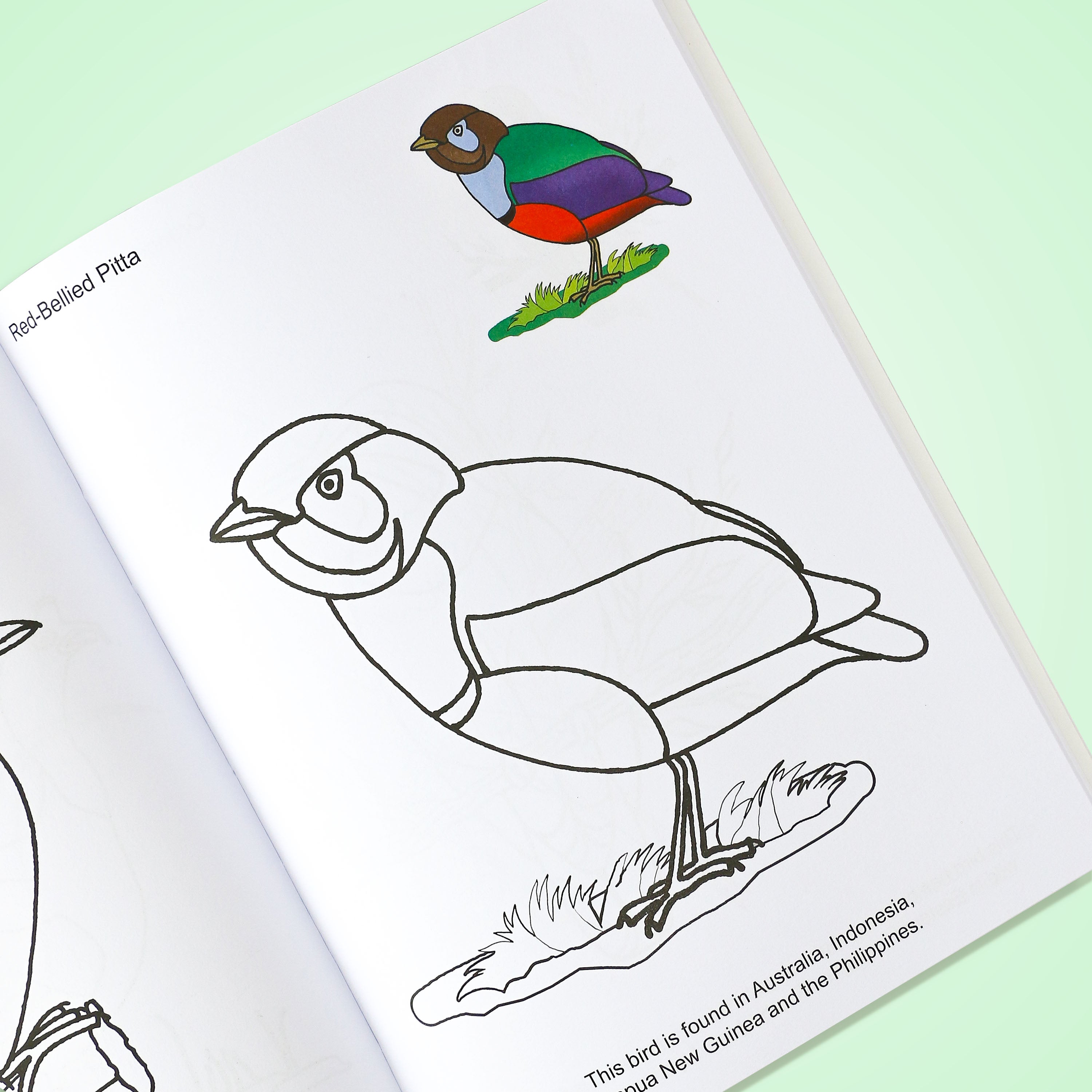 Big Book of See-N-Colour