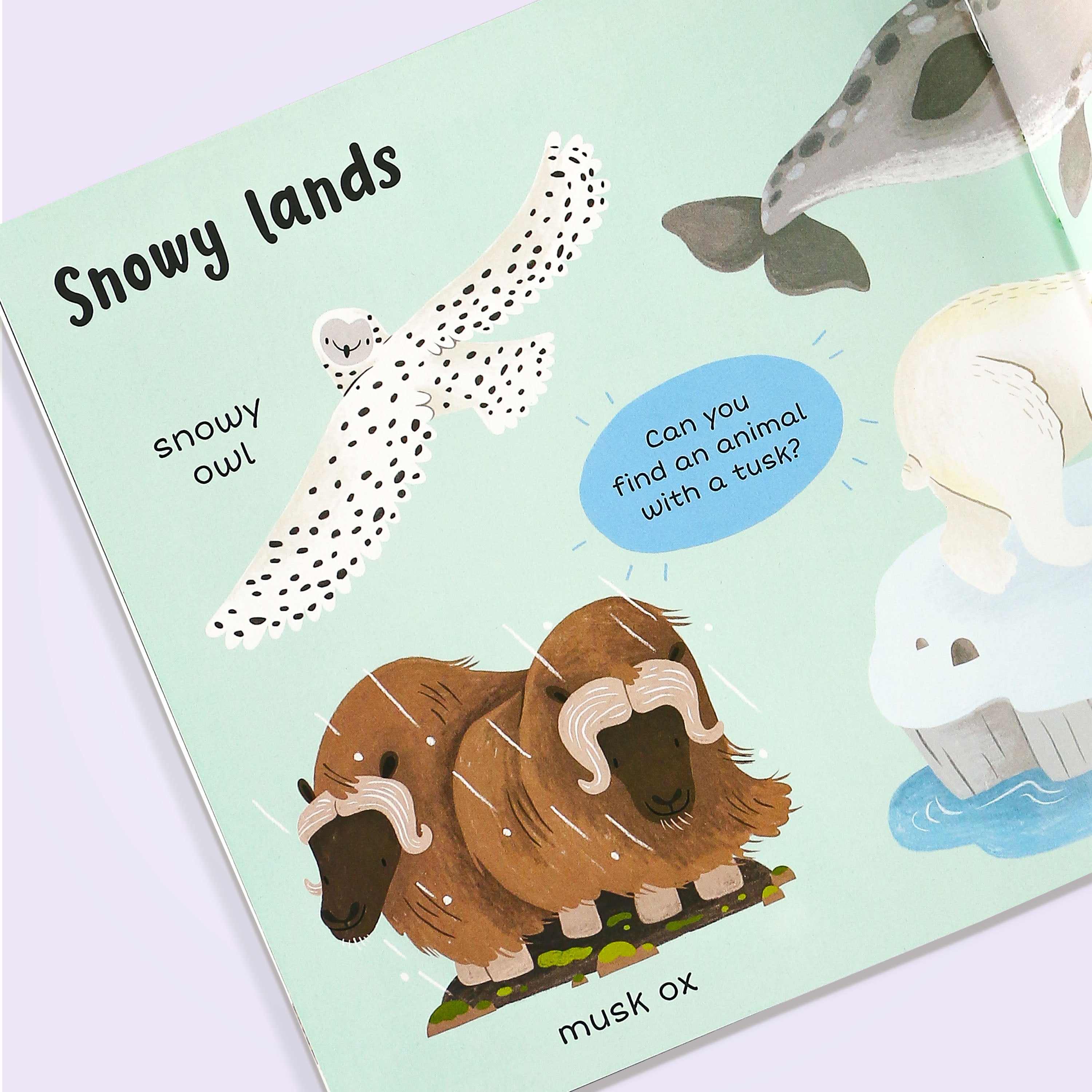 100+ First Words Animals Book