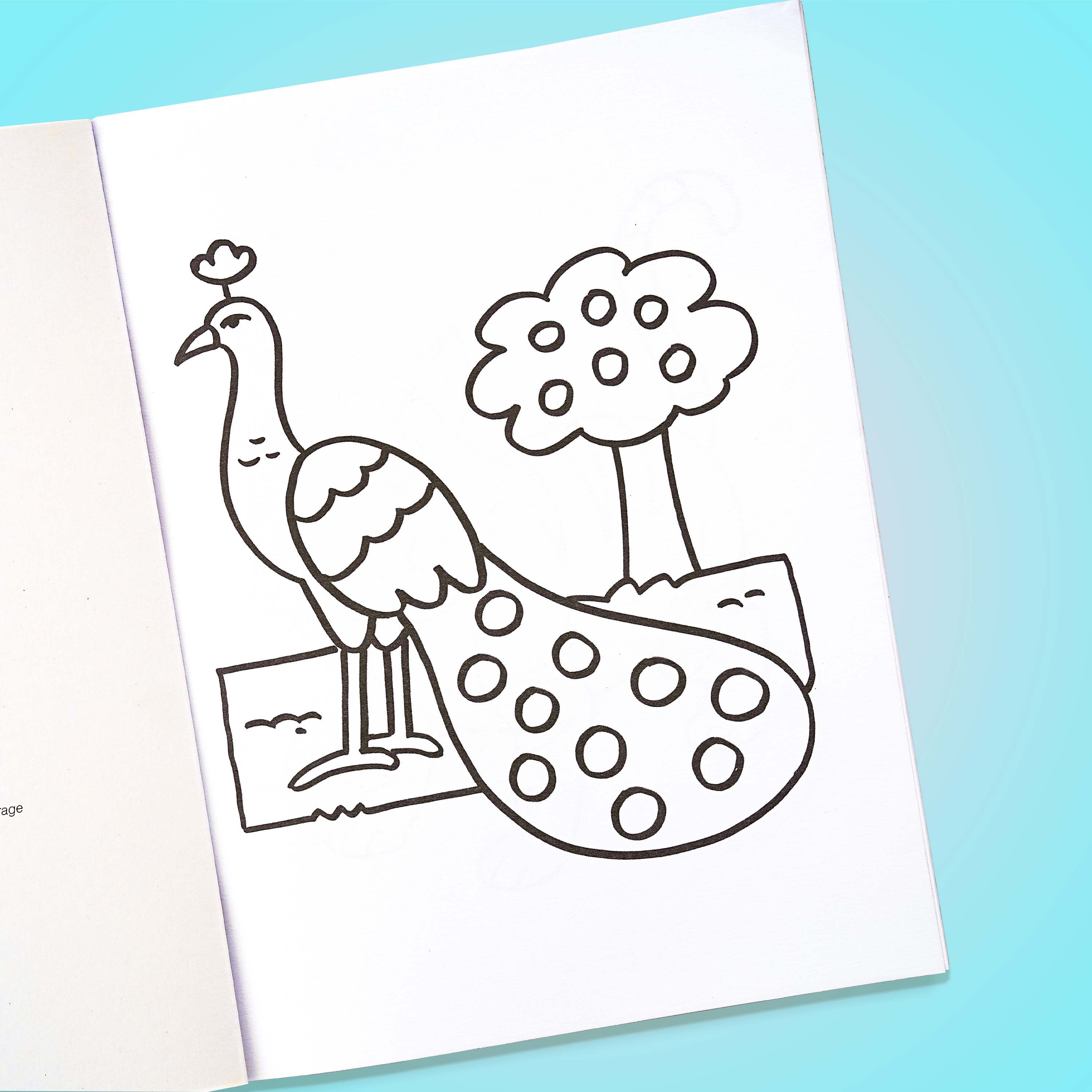 My First Chunky Colouring Book