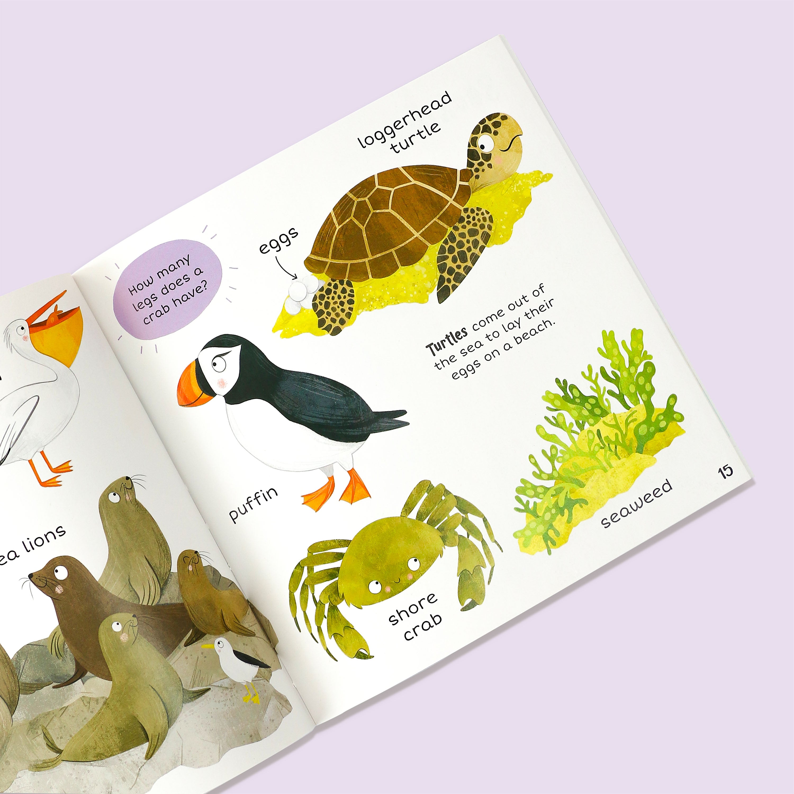 100+ First Words In the Sea Book