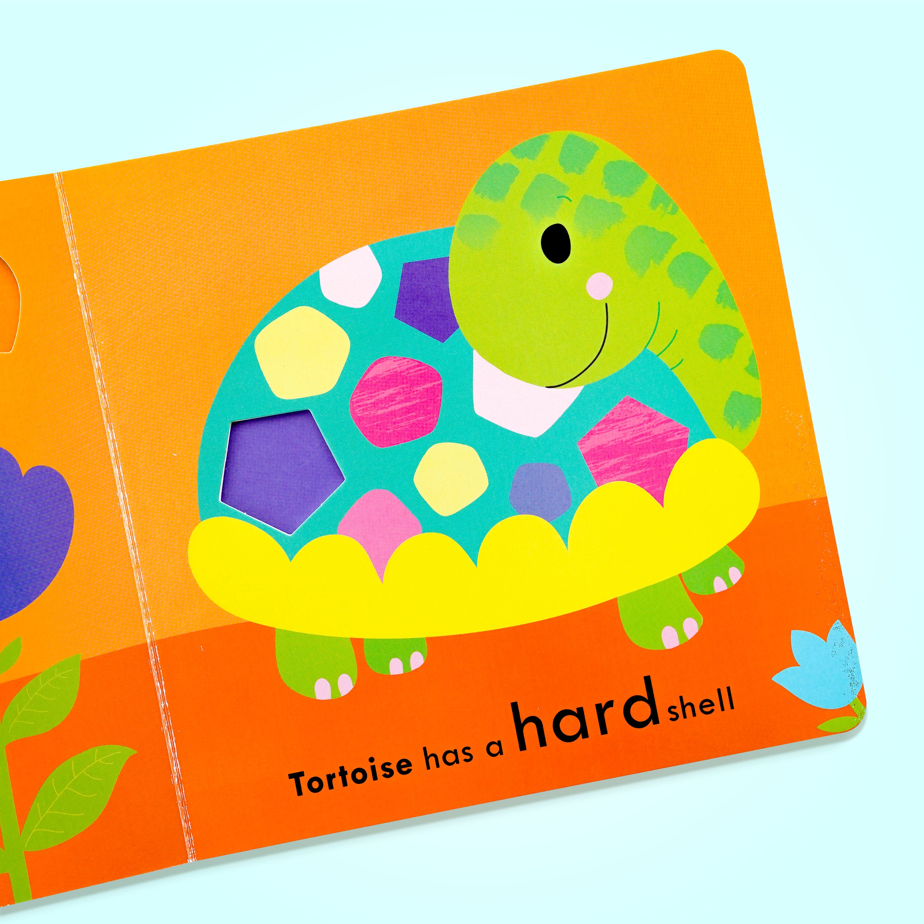 My Learning World Opposites Big and Small Book