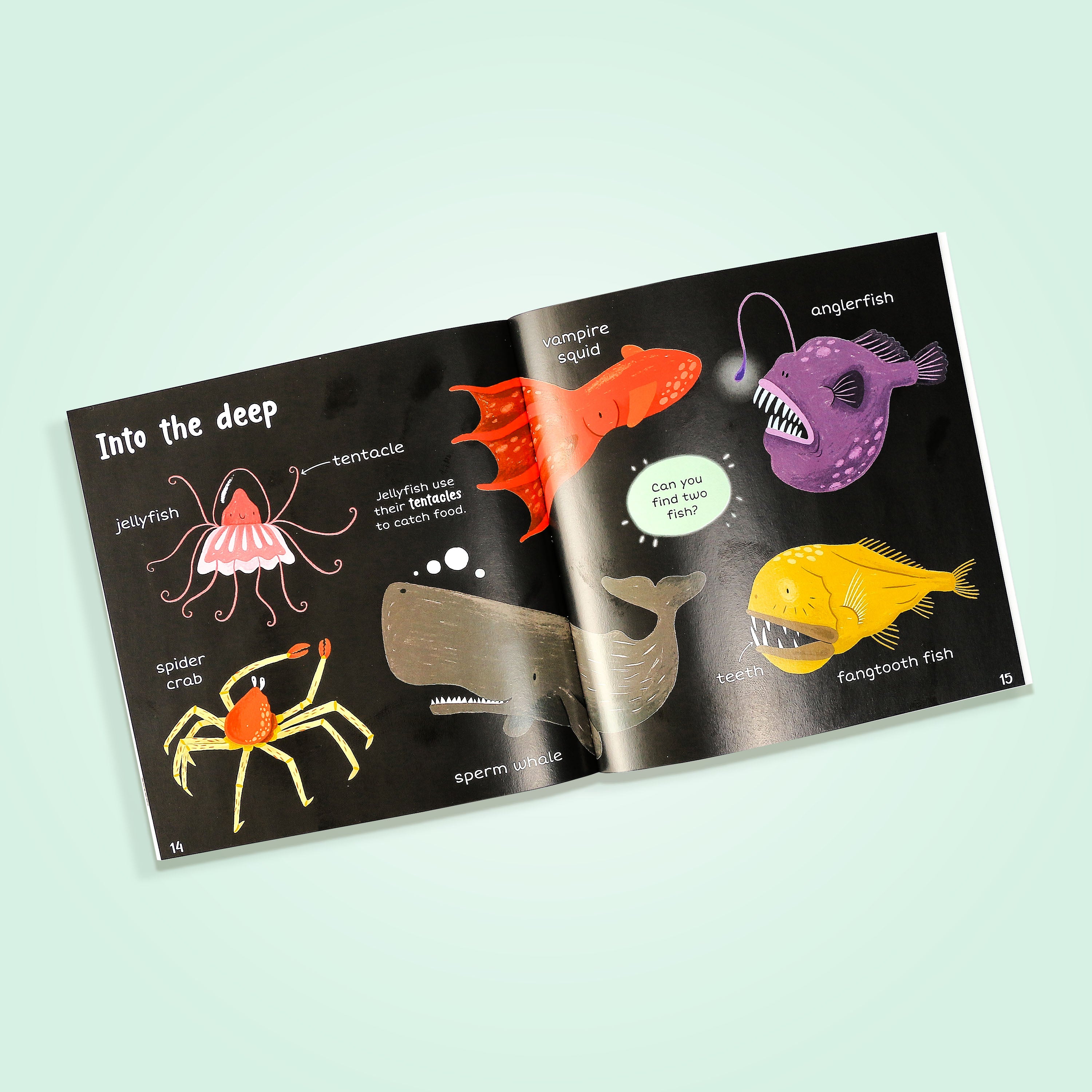 100+ First Words Animals Book