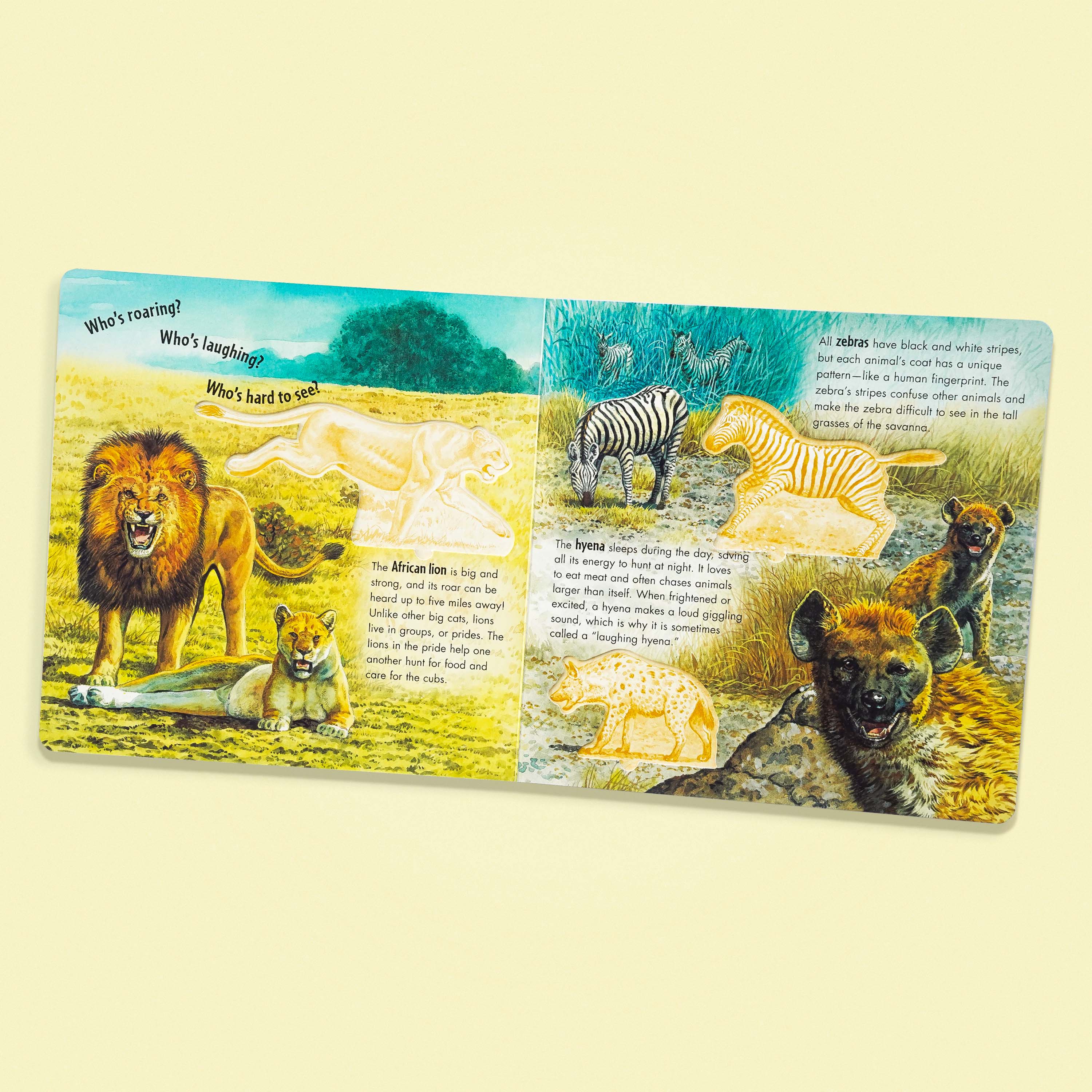 Safari Adventure Book