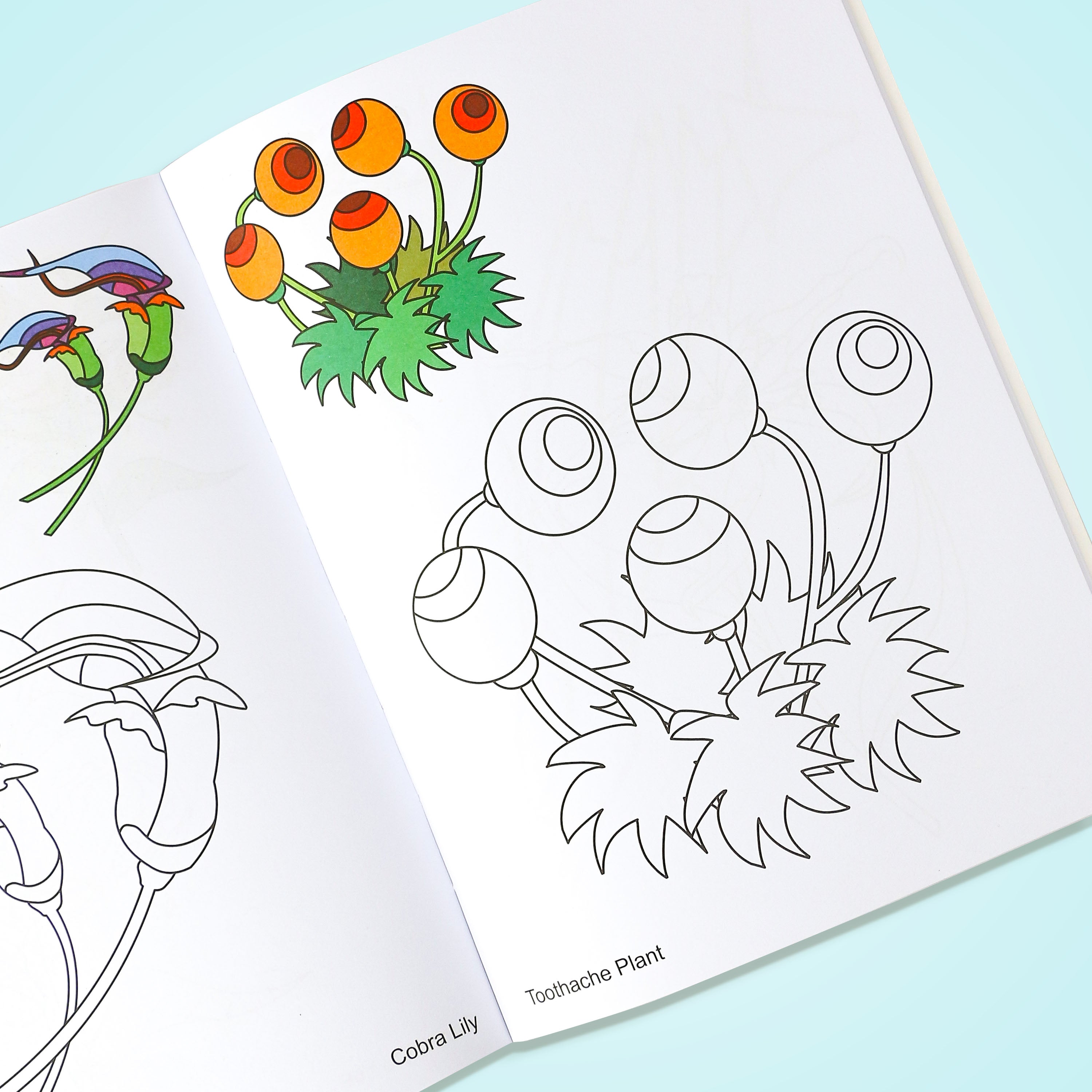Big Book of Look-N-Colour