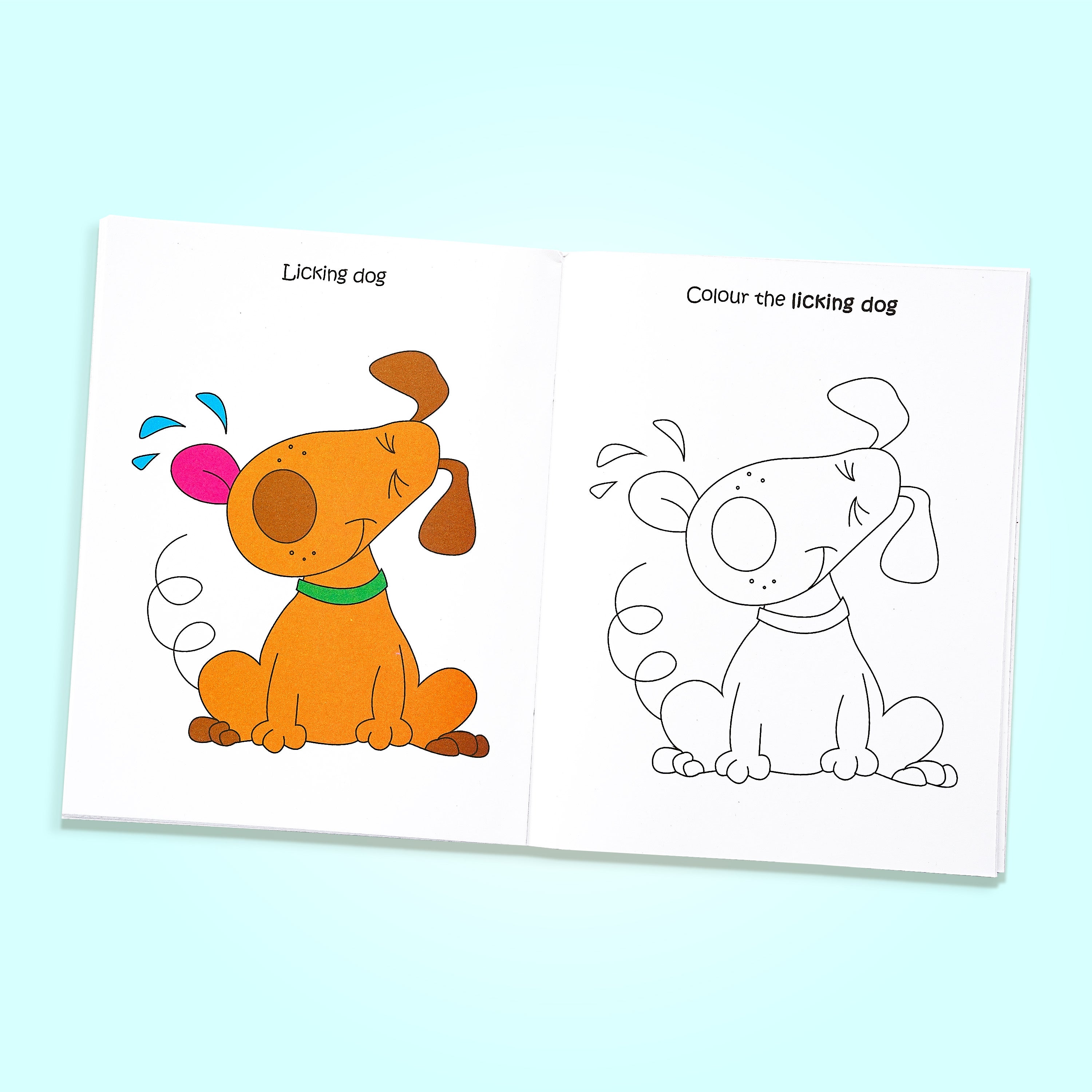 Rainbow Magic Copy Colour Book