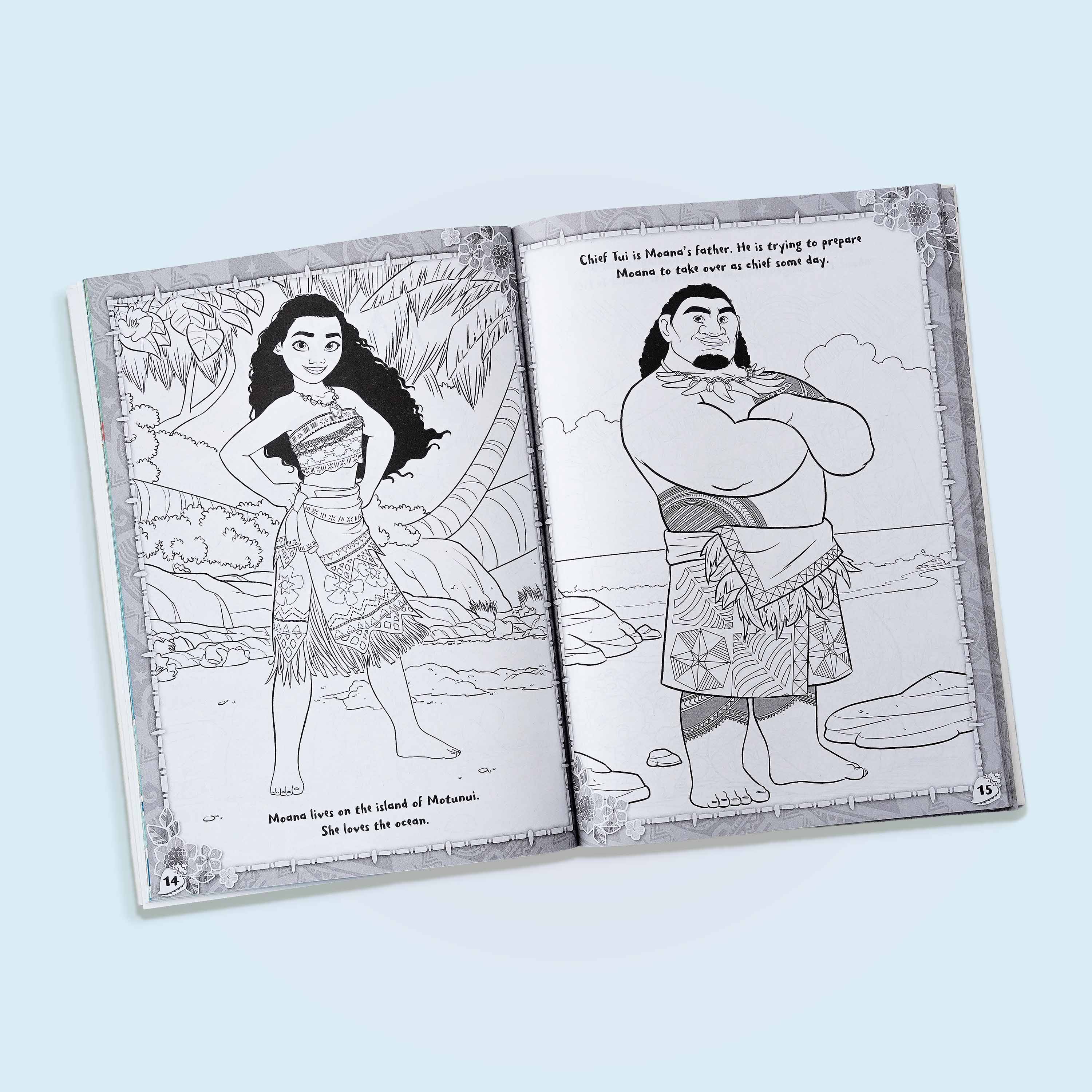 Disney Moana Hearts and Heroes Book