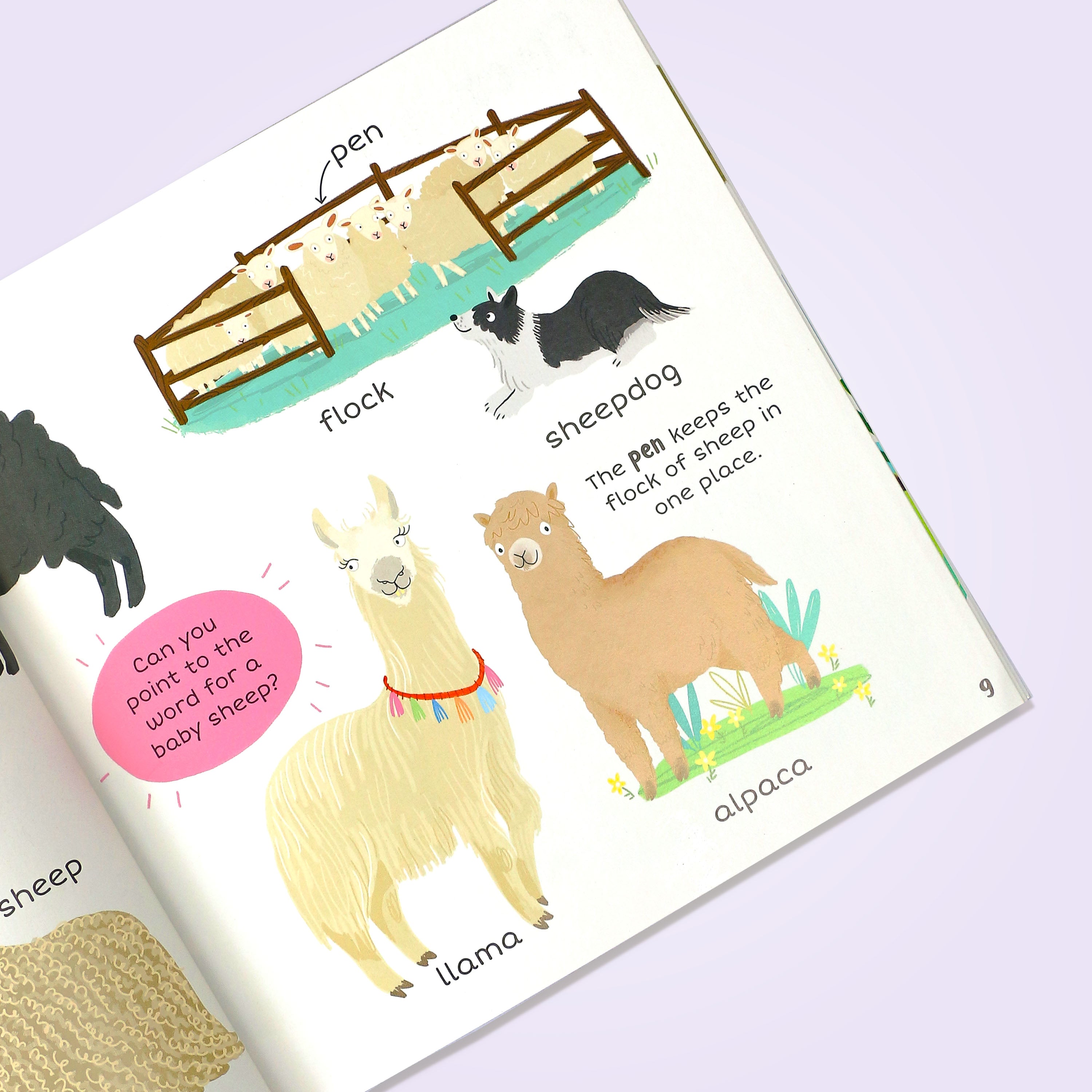 100+ First Words Farm Book