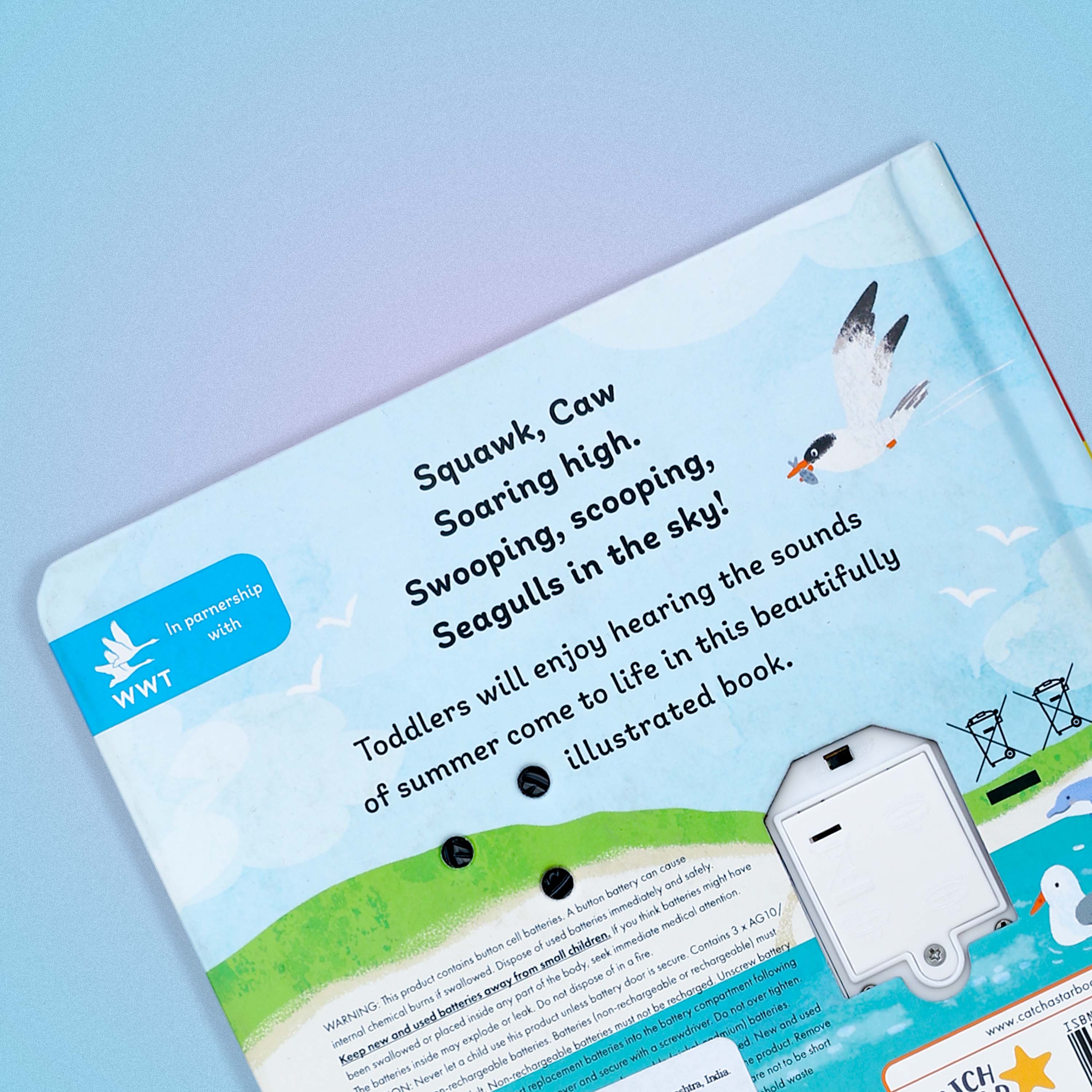 Seasons and Sounds Listen to Summer Book