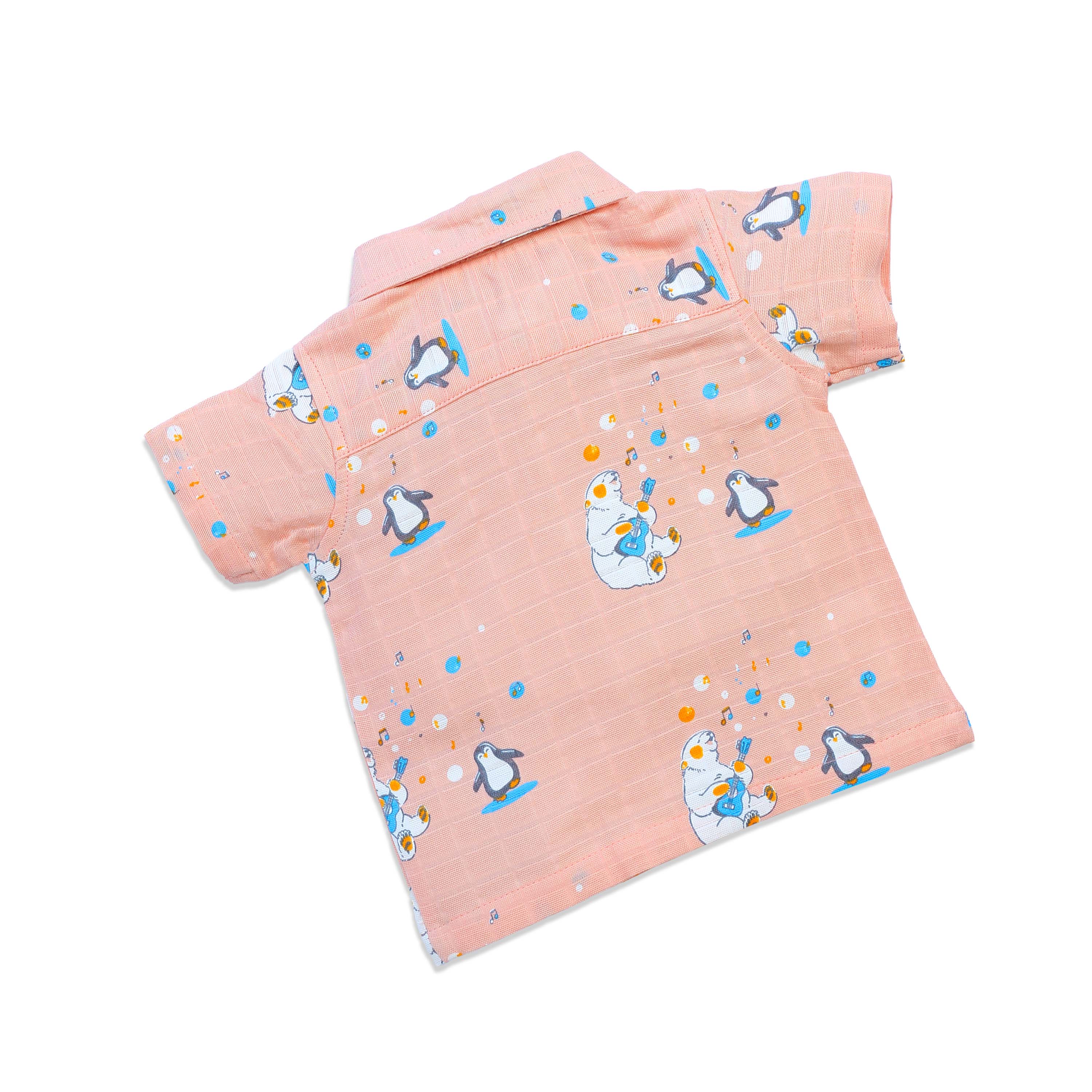 Muslin Half Sleeve Top & Shorts Set (0M – 5Y) Cub's First Concert