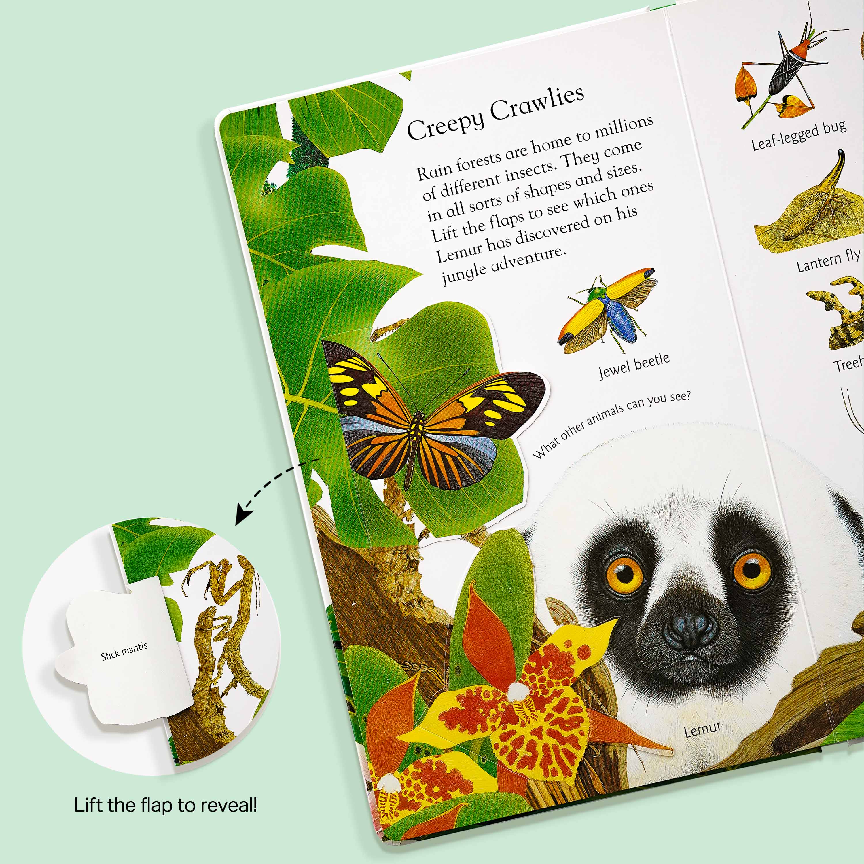 Lift and Learn In the Jungle Book