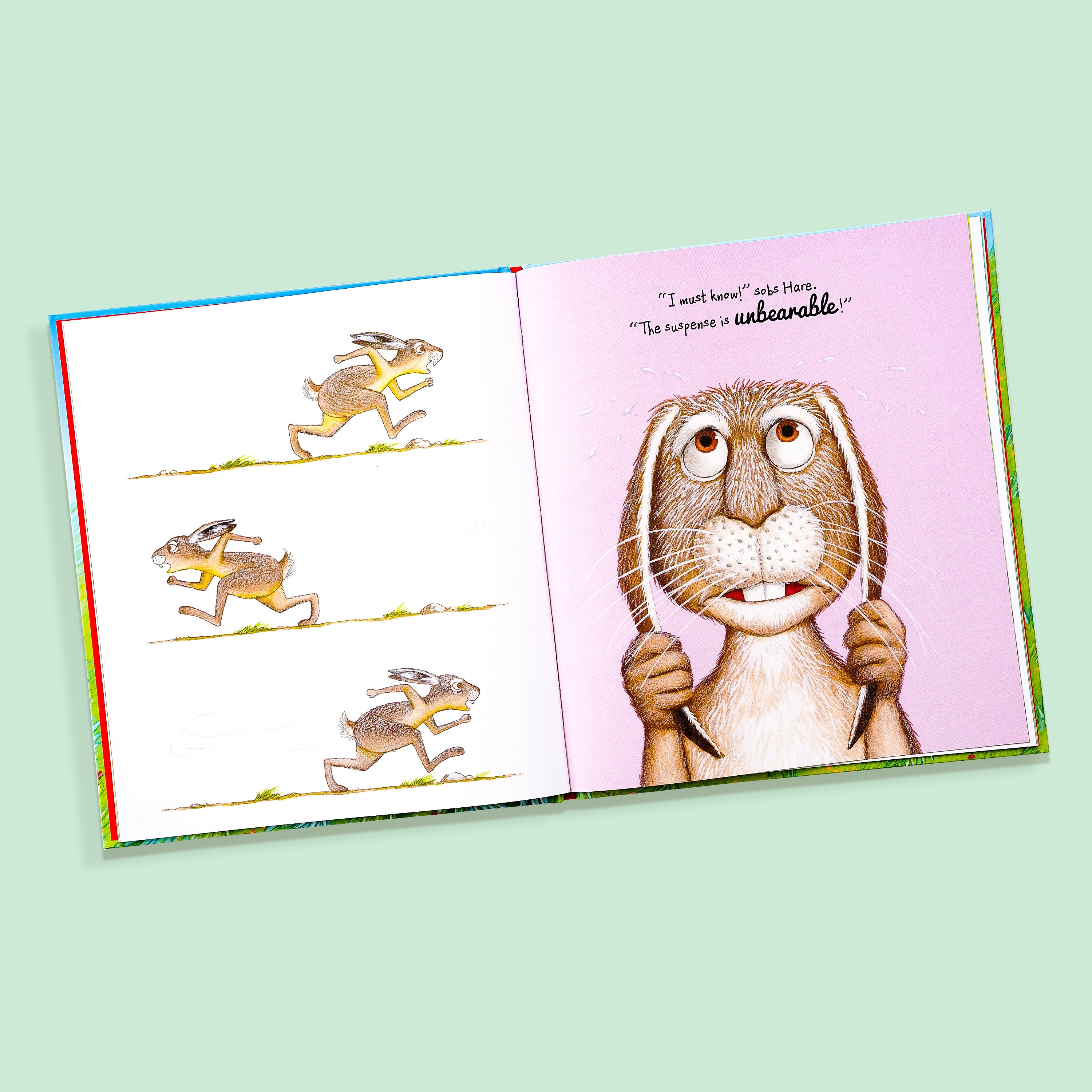 The Great Tortoise & Hare Counting Race Book