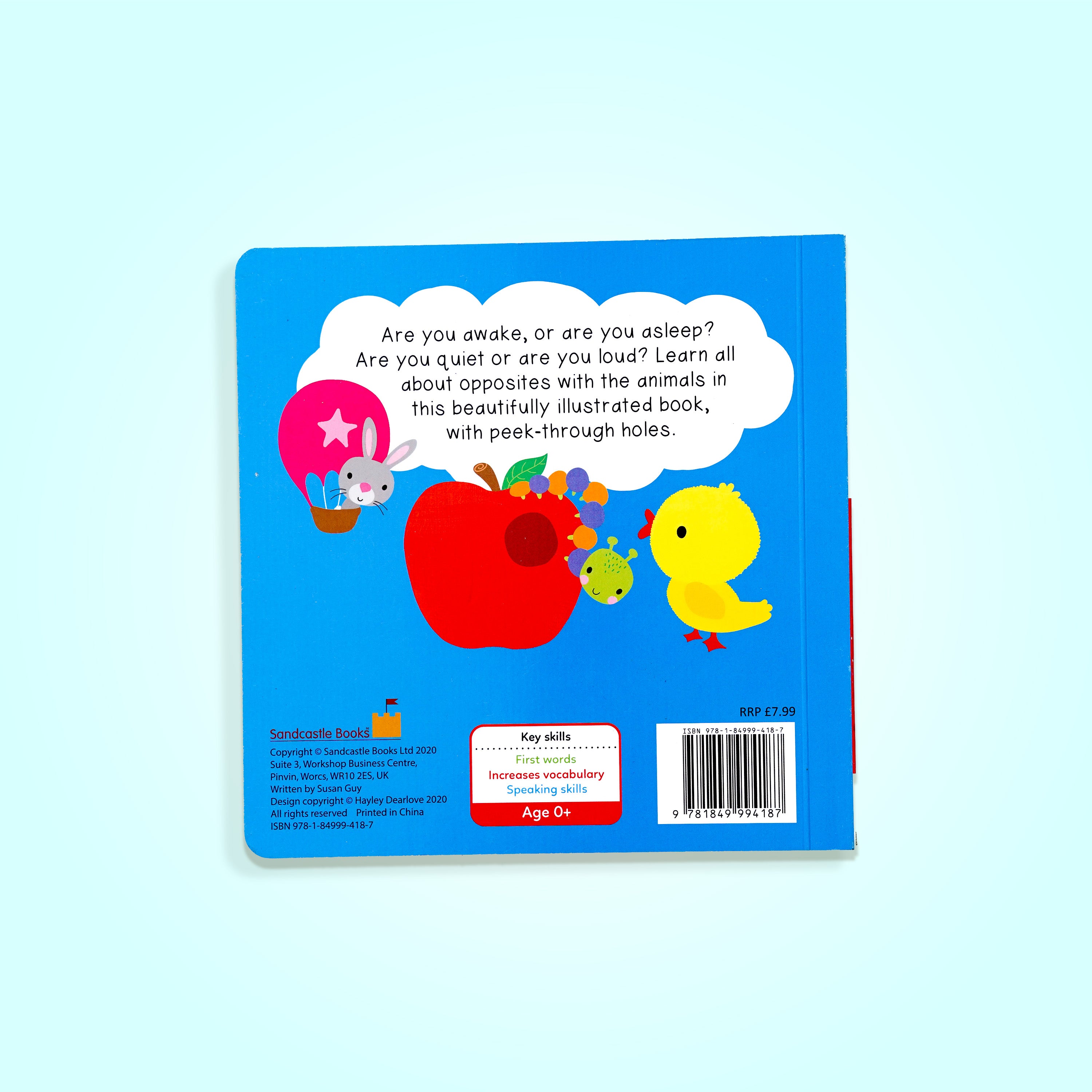 My Learning World Opposites Big and Small Book