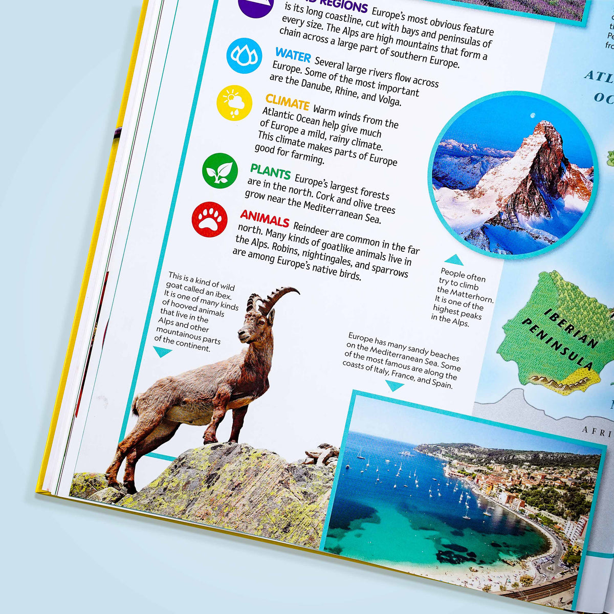 National Geographic Kids Beginner's World Atlas Book