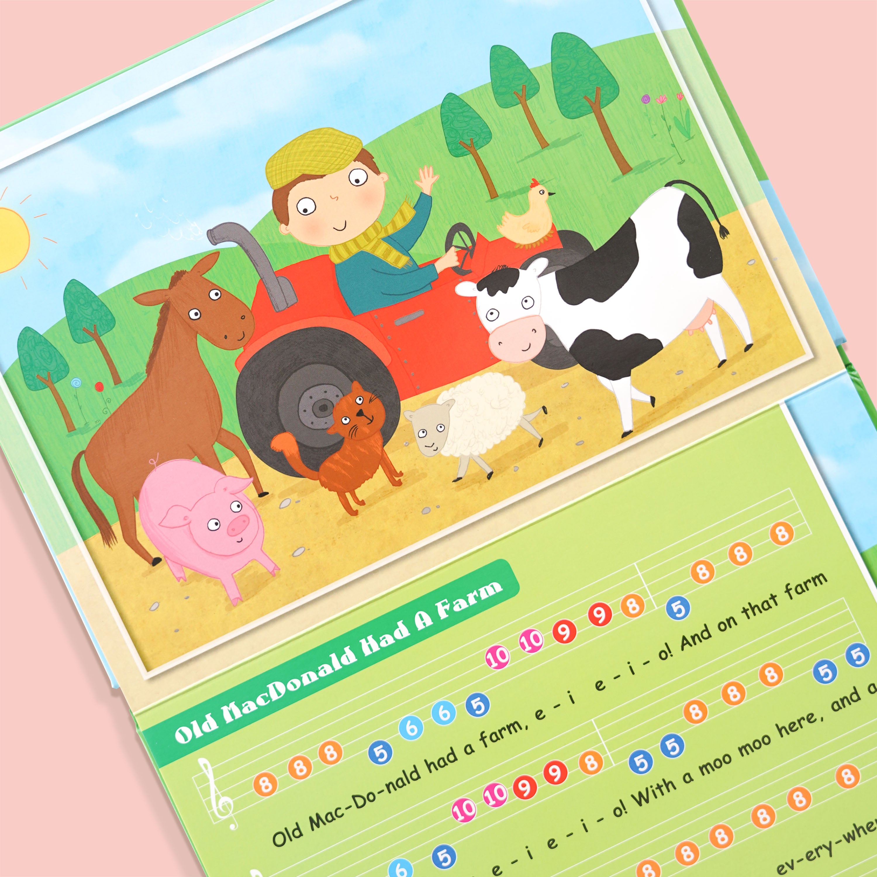 Old MacDonald & Other Play Along Songs Book