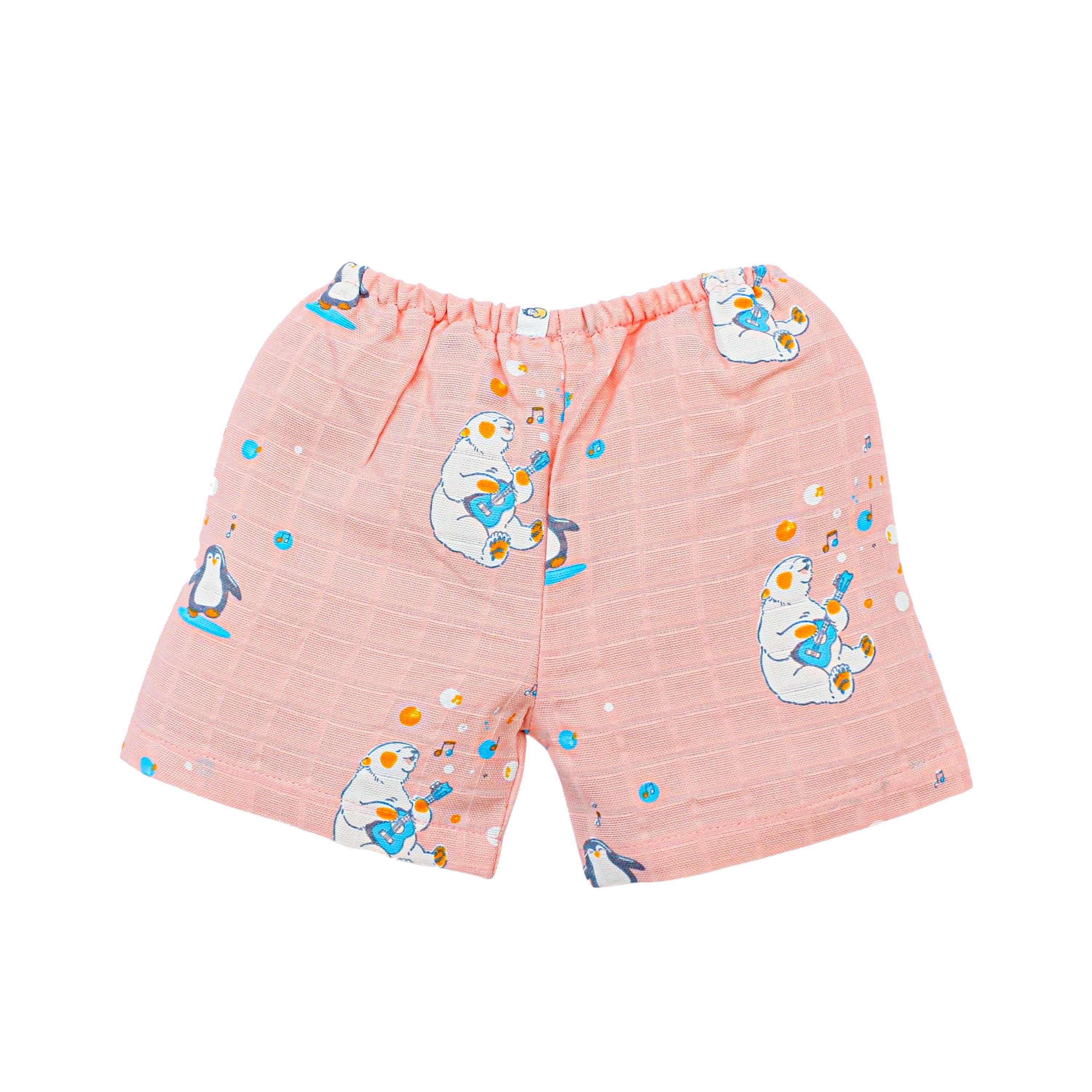 Muslin Half Sleeve Top & Shorts Set (0M – 5Y) Cub's First Concert