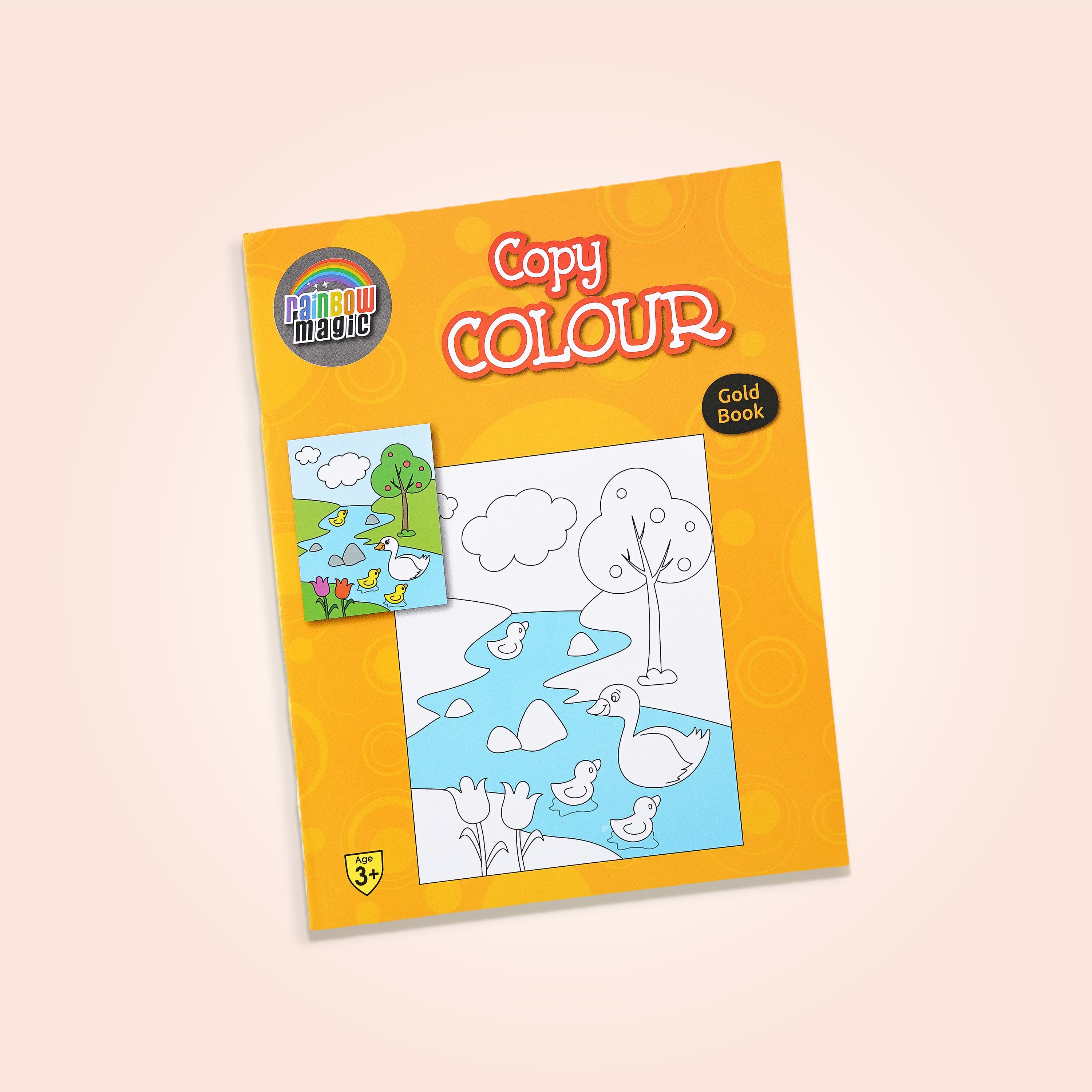Rainbow Magic Copy Colour Book