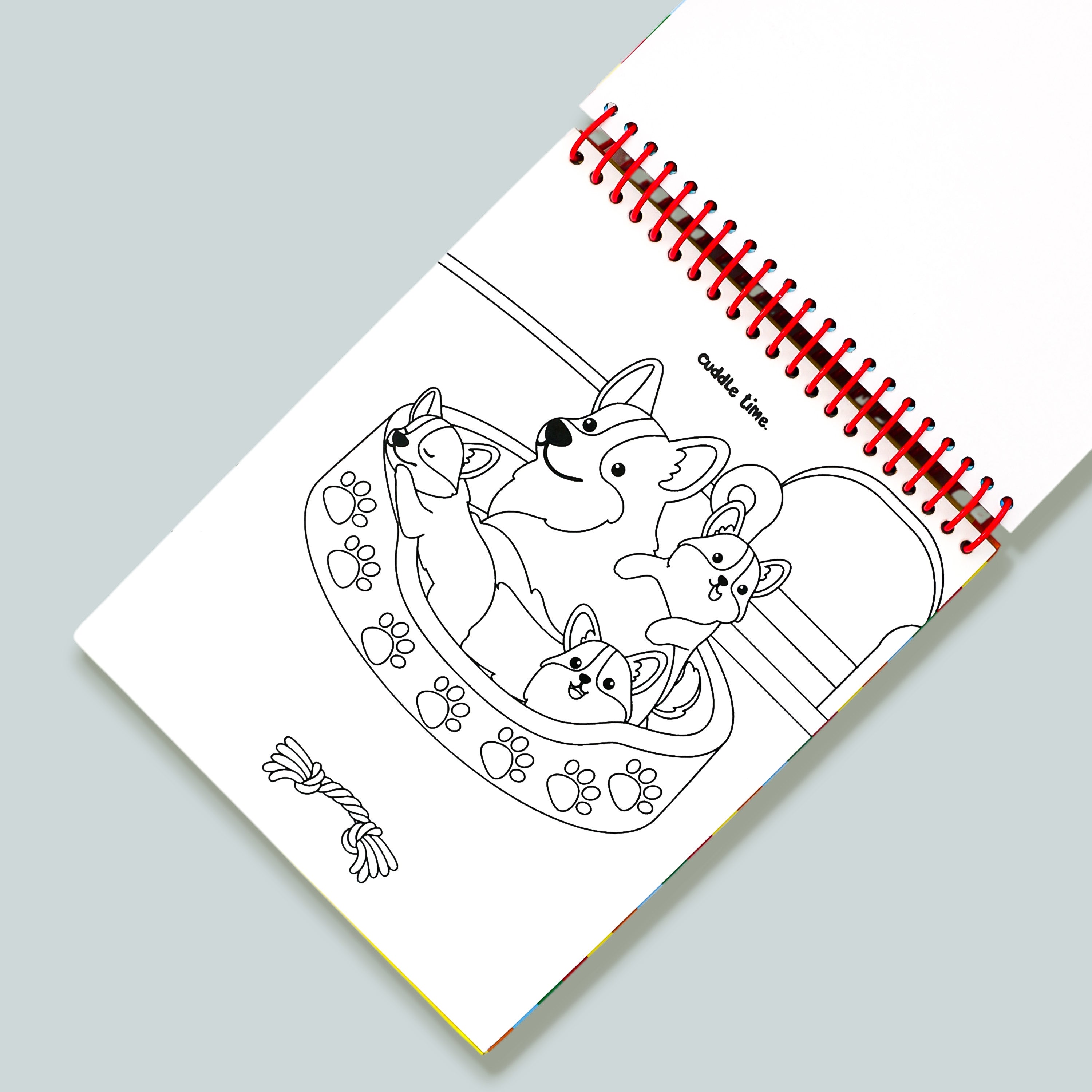 Magic Painting Pets Book