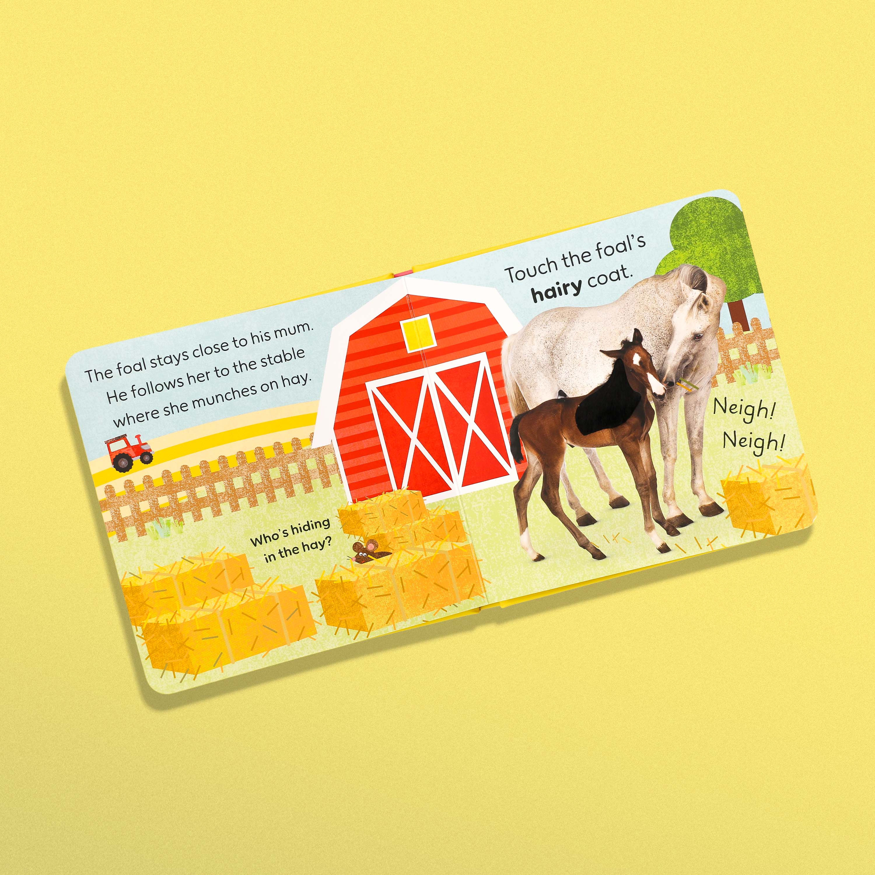 Touch and Feel Baby Animals – Interactive Sensory Board Book for Toddlers