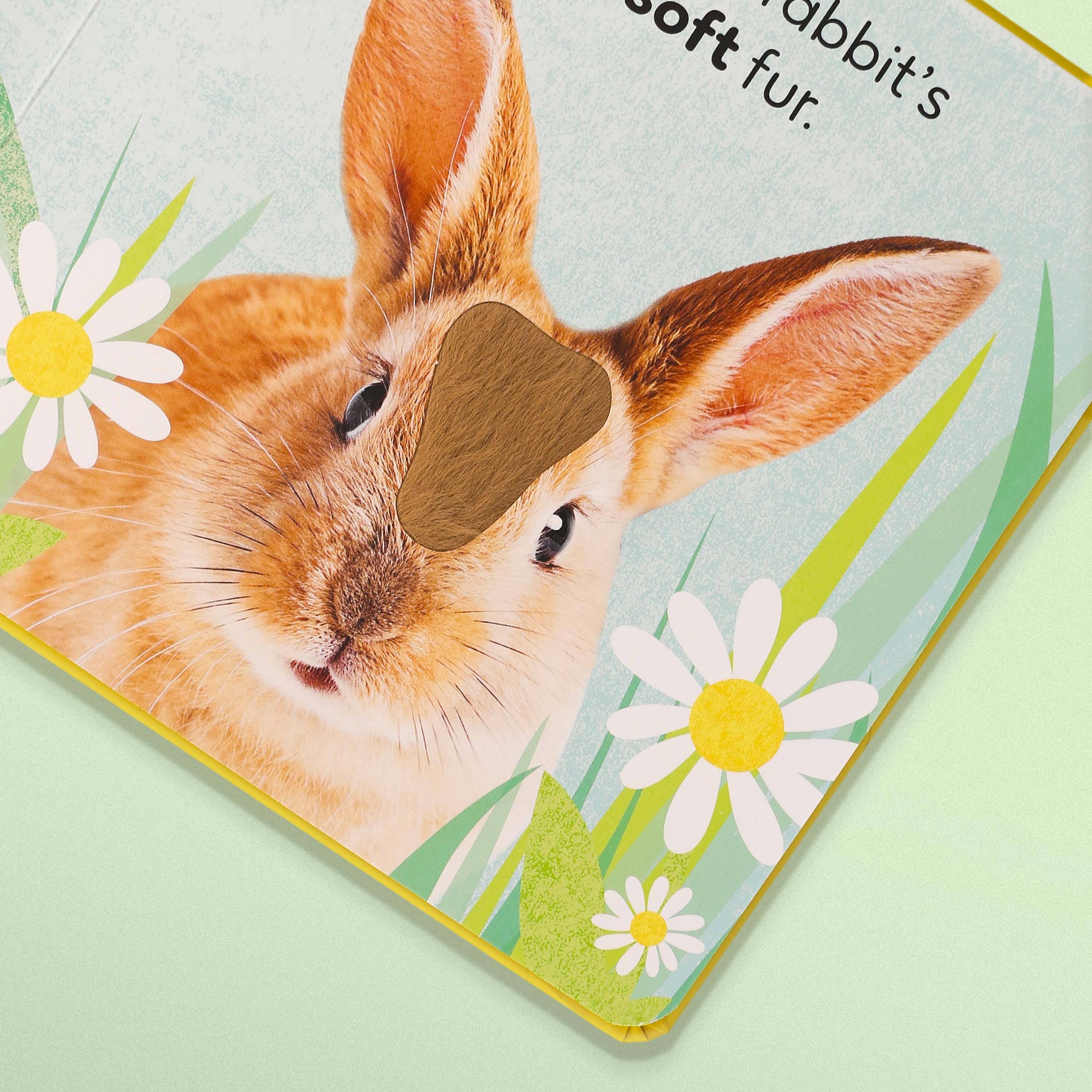Touch and Feel Baby Animals – Interactive Sensory Board Book for Toddlers