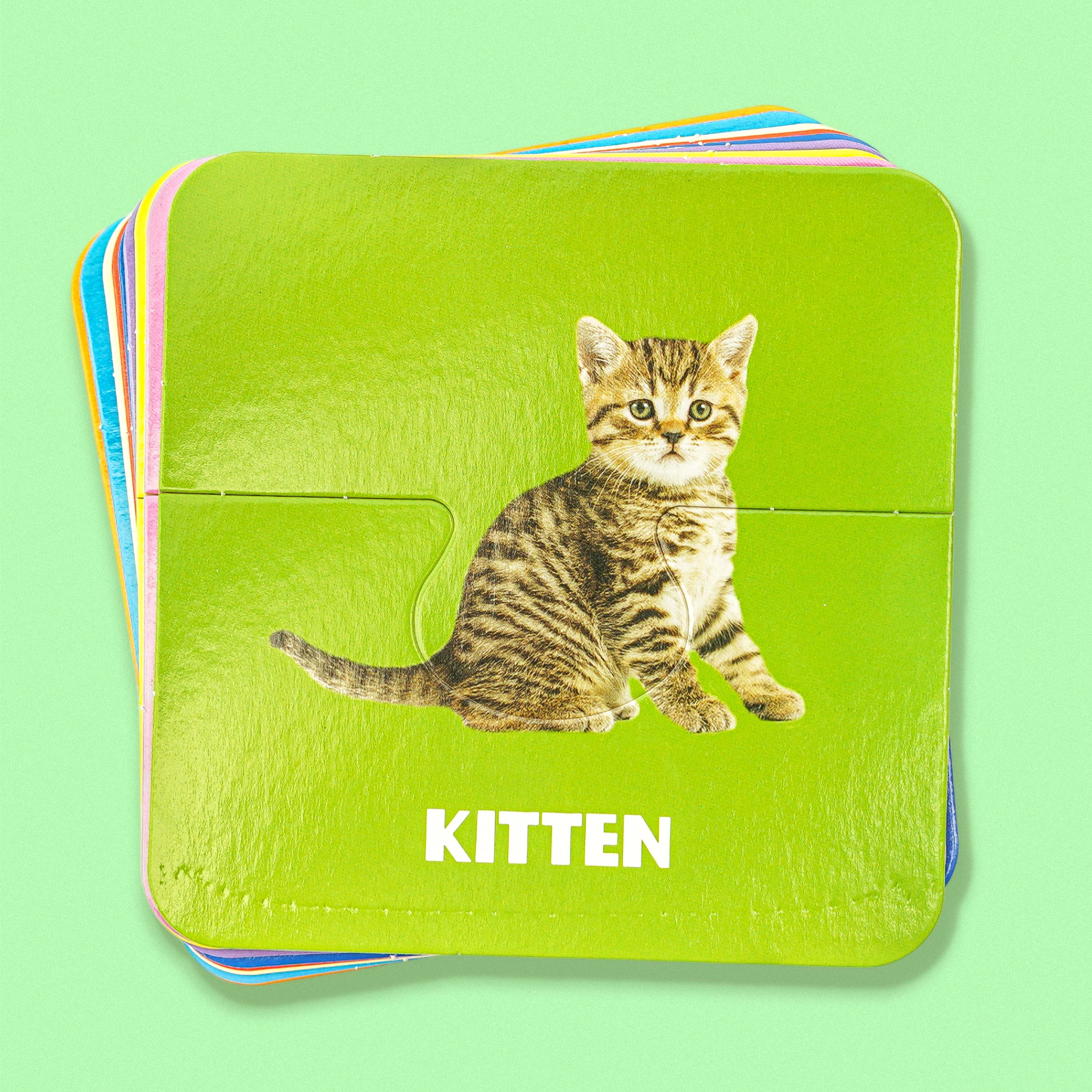 Little Learners Book & Puzzle Set Animal Babies