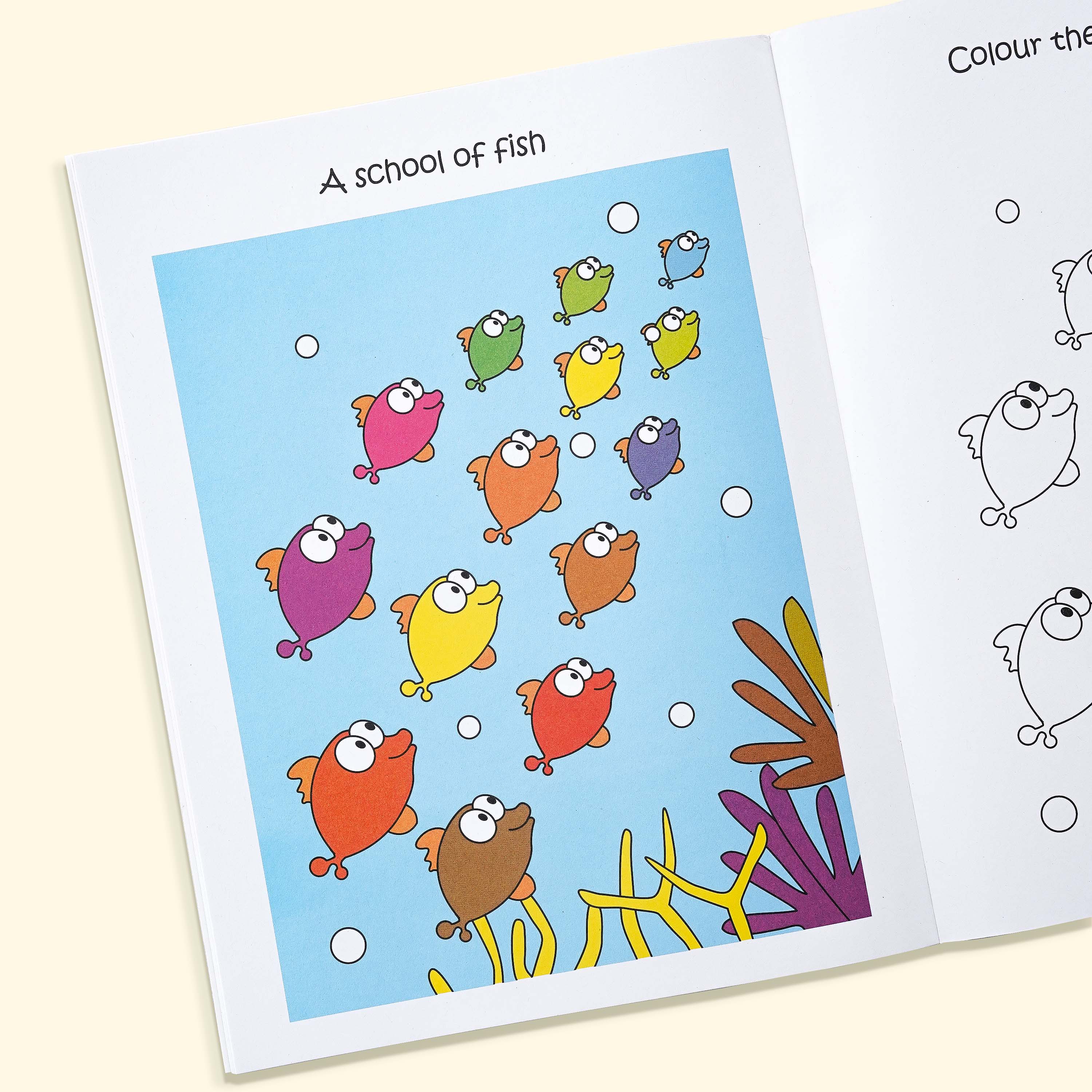 Rainbow Magic Copy Colour Book