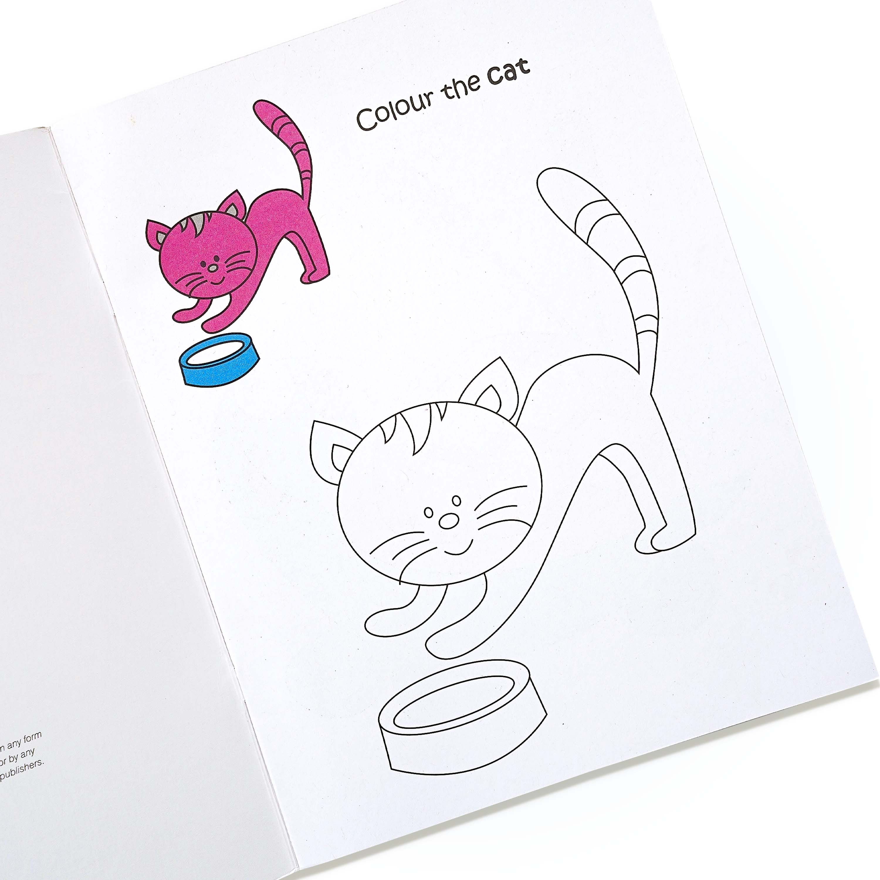 Rainbow Magic Copy Colour Book