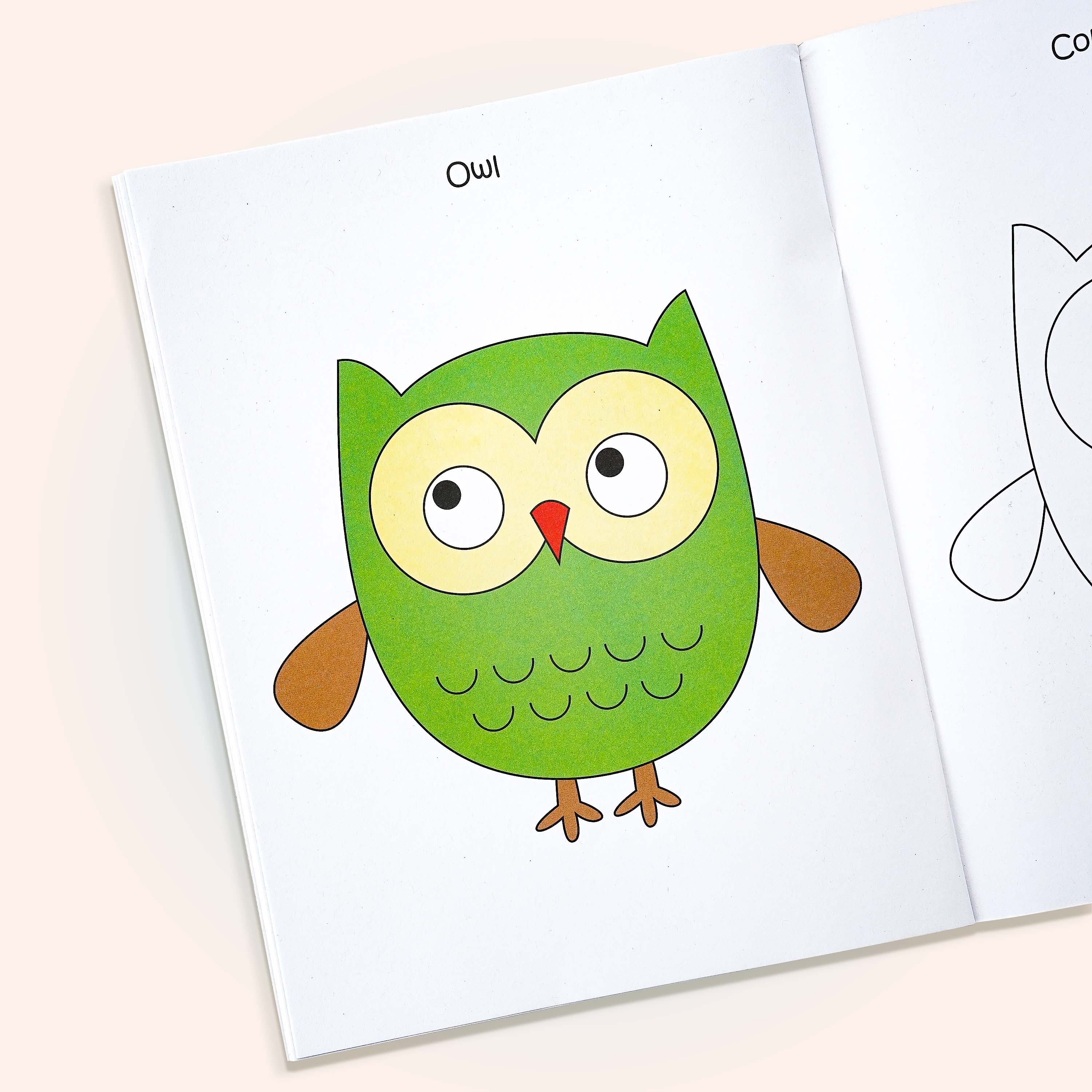 Rainbow Magic Copy Colour Book
