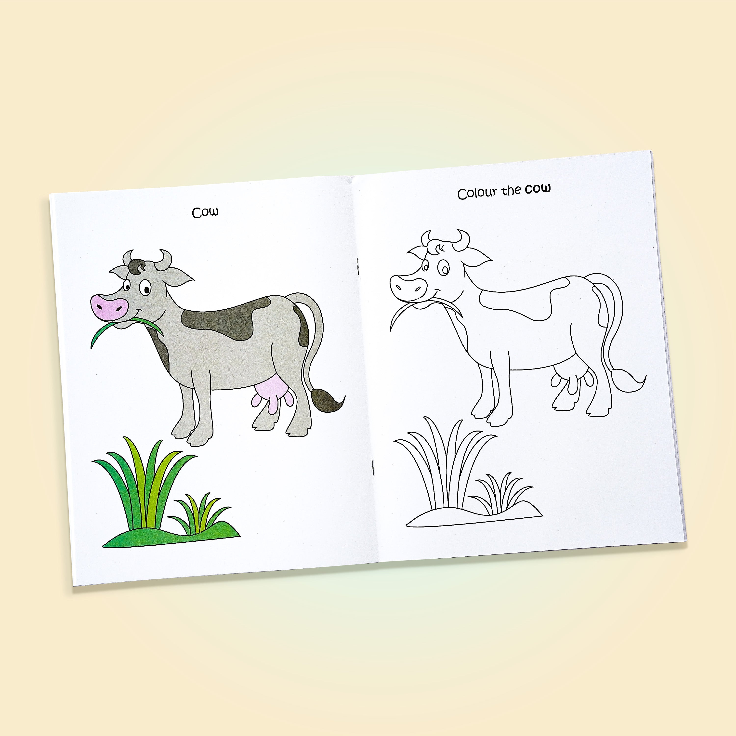 Rainbow Magic Copy Colour Book